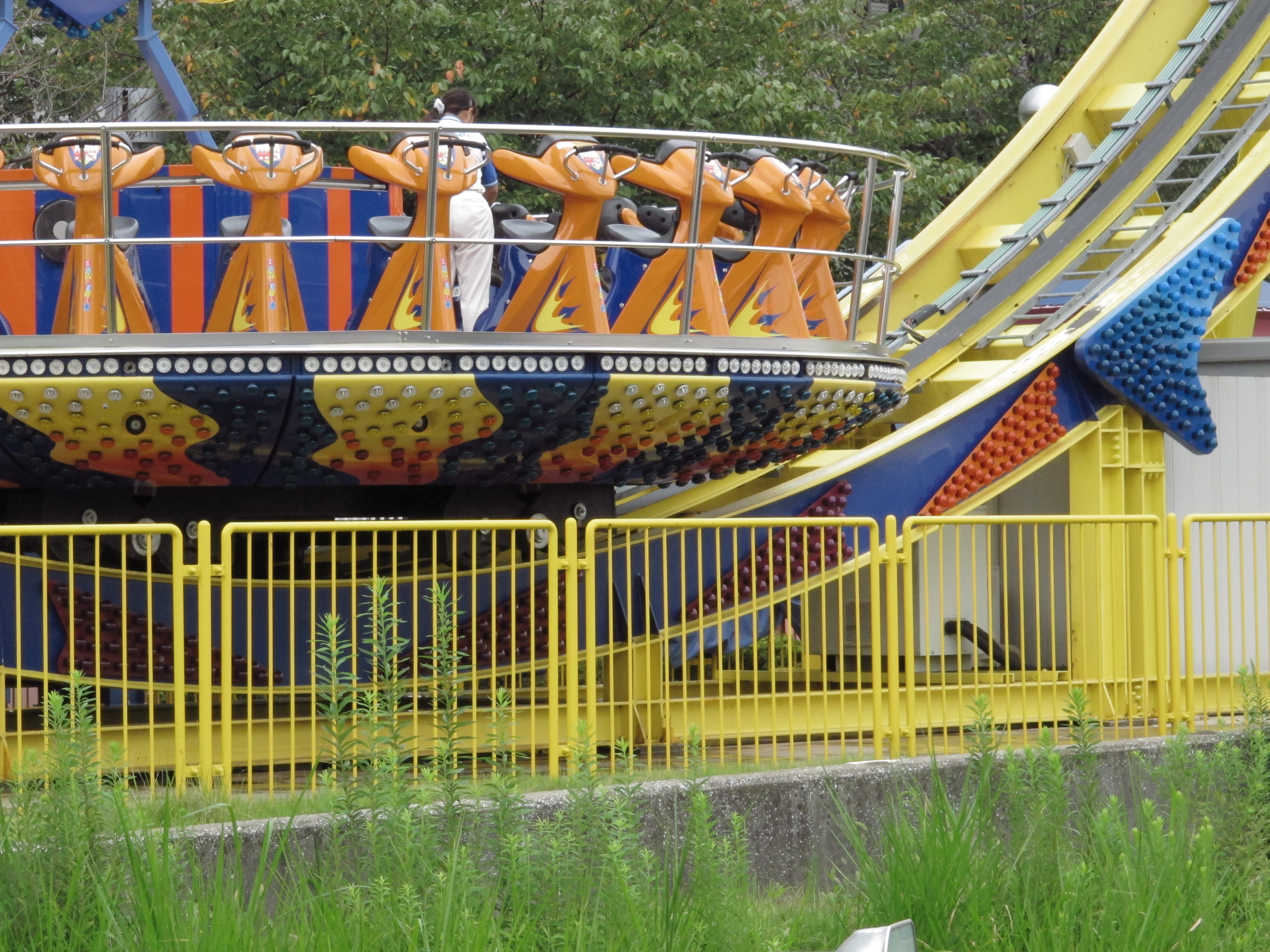 <b>すっきりカラー<br>PowerShot G12 / 約3.0MB / 3,648×2,736 / 1/250秒 / F8 / 0.0EV / ISO800 / WB:オート / 30.5mm</b>