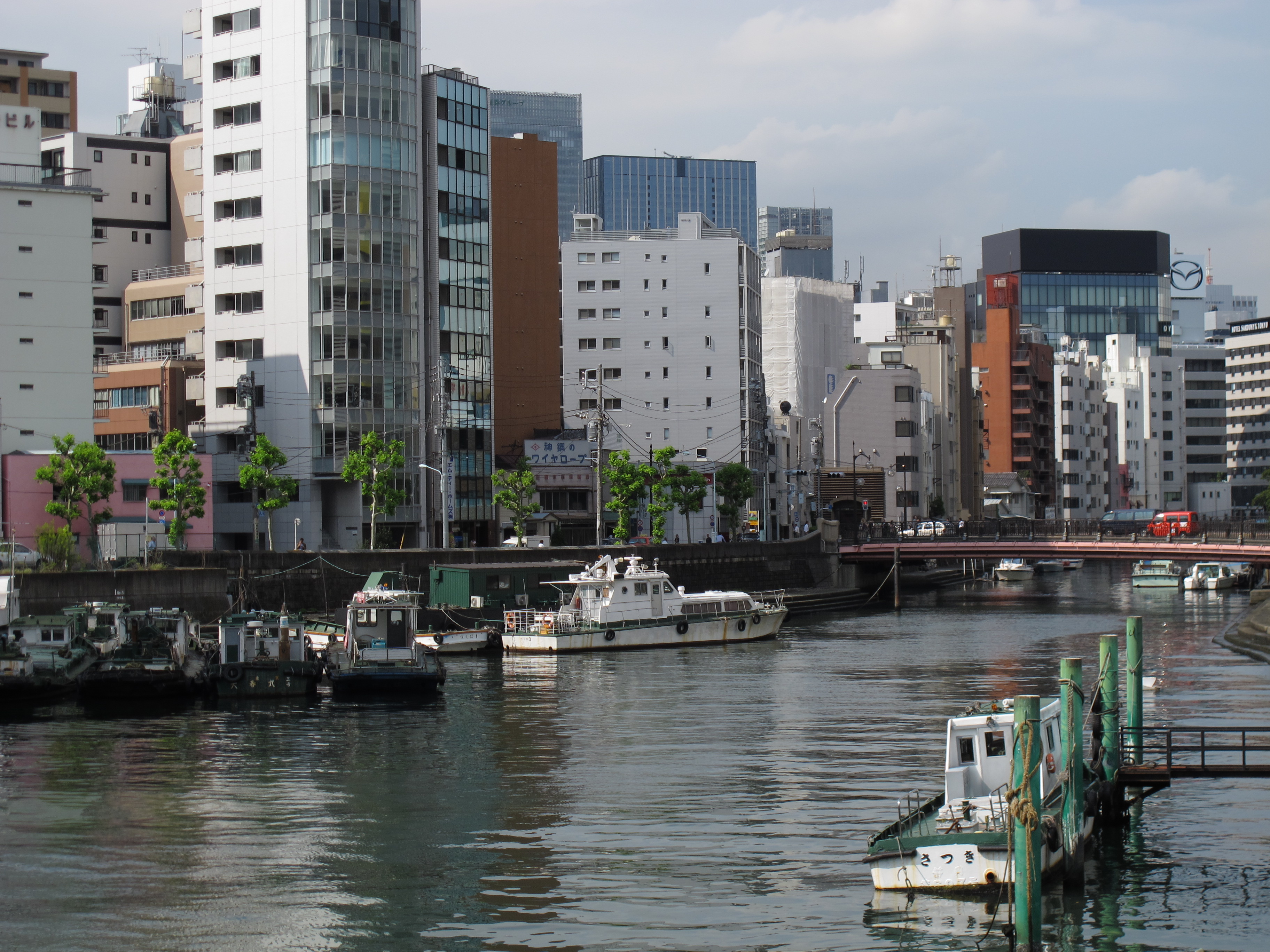 <b>PowerShot G12 / 約2.4MB / 3,648×2,736 / 1/1,000秒 / F4 / -0.7EV / ISO80 / WB:オート / 18mm</b>