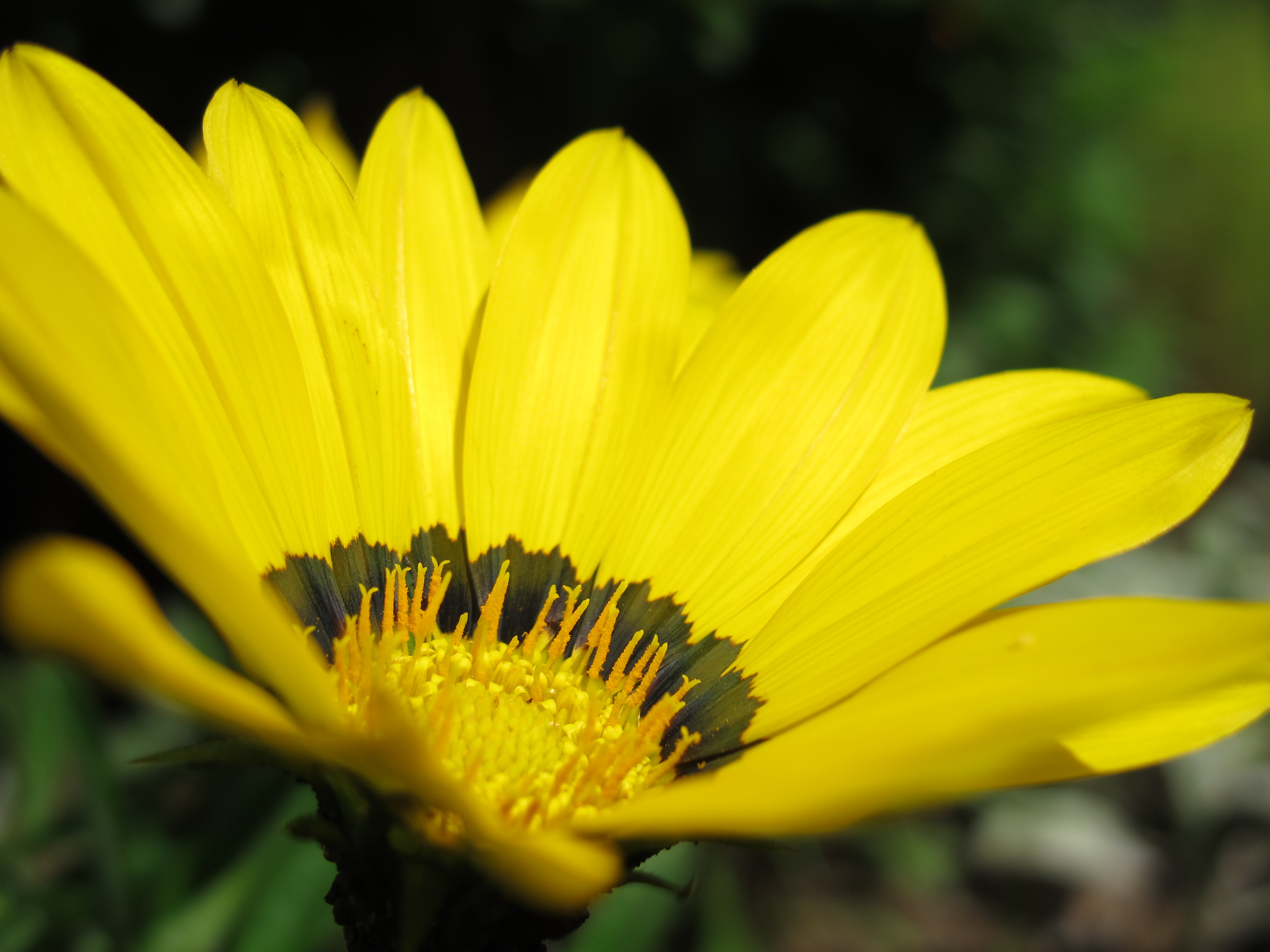 <b>PowerShot G12 / 約1.4MB / 3,648×2,736 / 1/1600秒 / F3.2 / +0.3EV / ISO80 / WB:オート / 9.8mm</b>