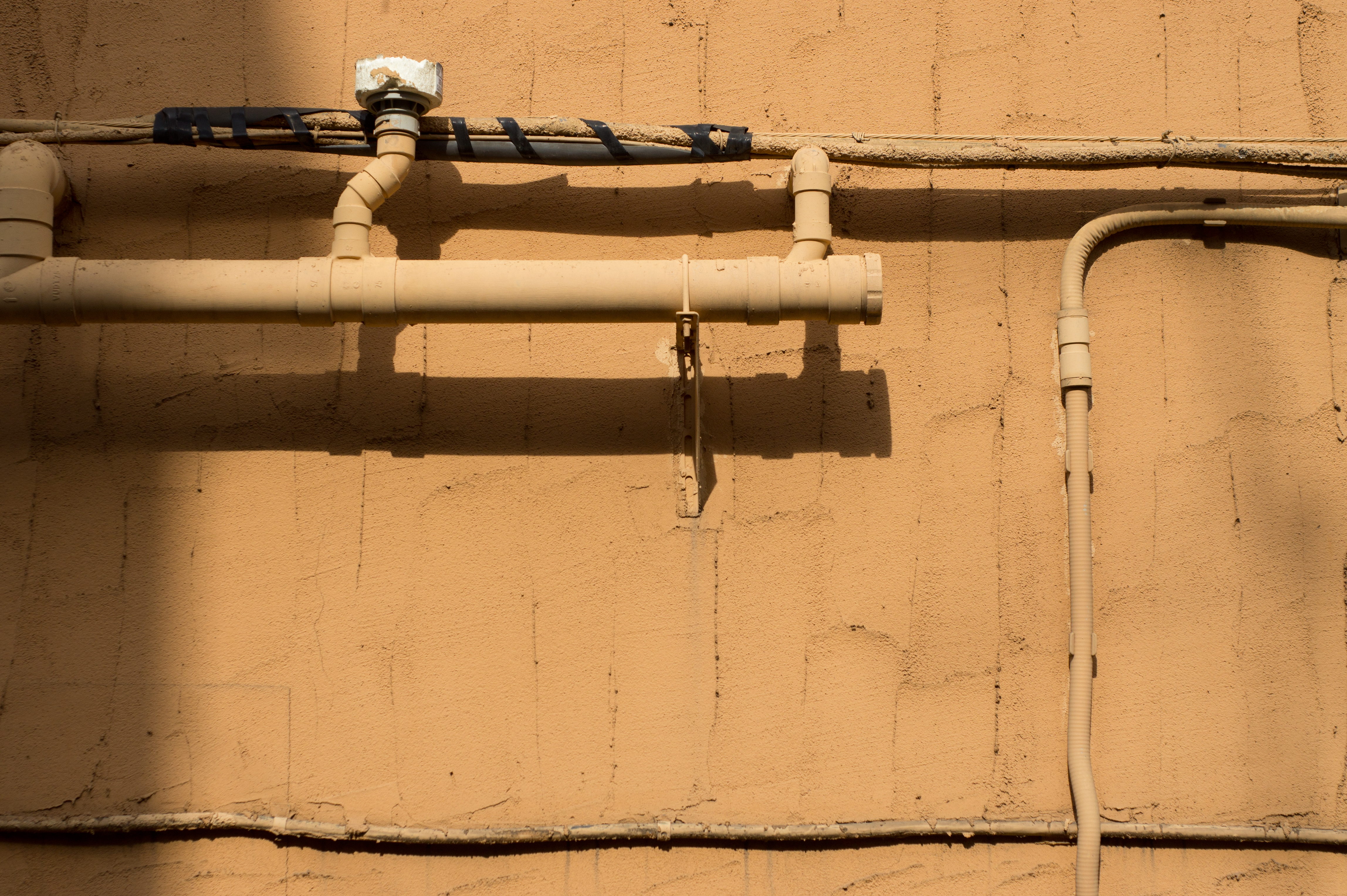 <b>NEX-5 / XRリケノン50mm F2 / 4,592×3,056 / 1/2,500秒 / F4 / 0EV / ISO200 / WB:オート / 50mm</b>