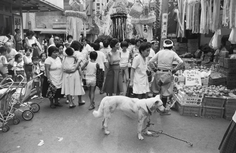 <b>(c) 大西みつぐ</b>