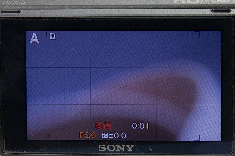 <b>Aモードで絞りをF5.6にして撮影したところ。下部に「F5.6」と表示されている</b>