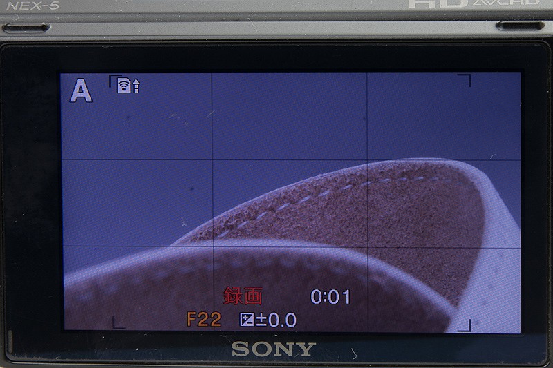 <b>こちらはF22まで絞りを絞ったところ。ピント位置は変えていないが、画面のボケが解消されているのが分かる</b>