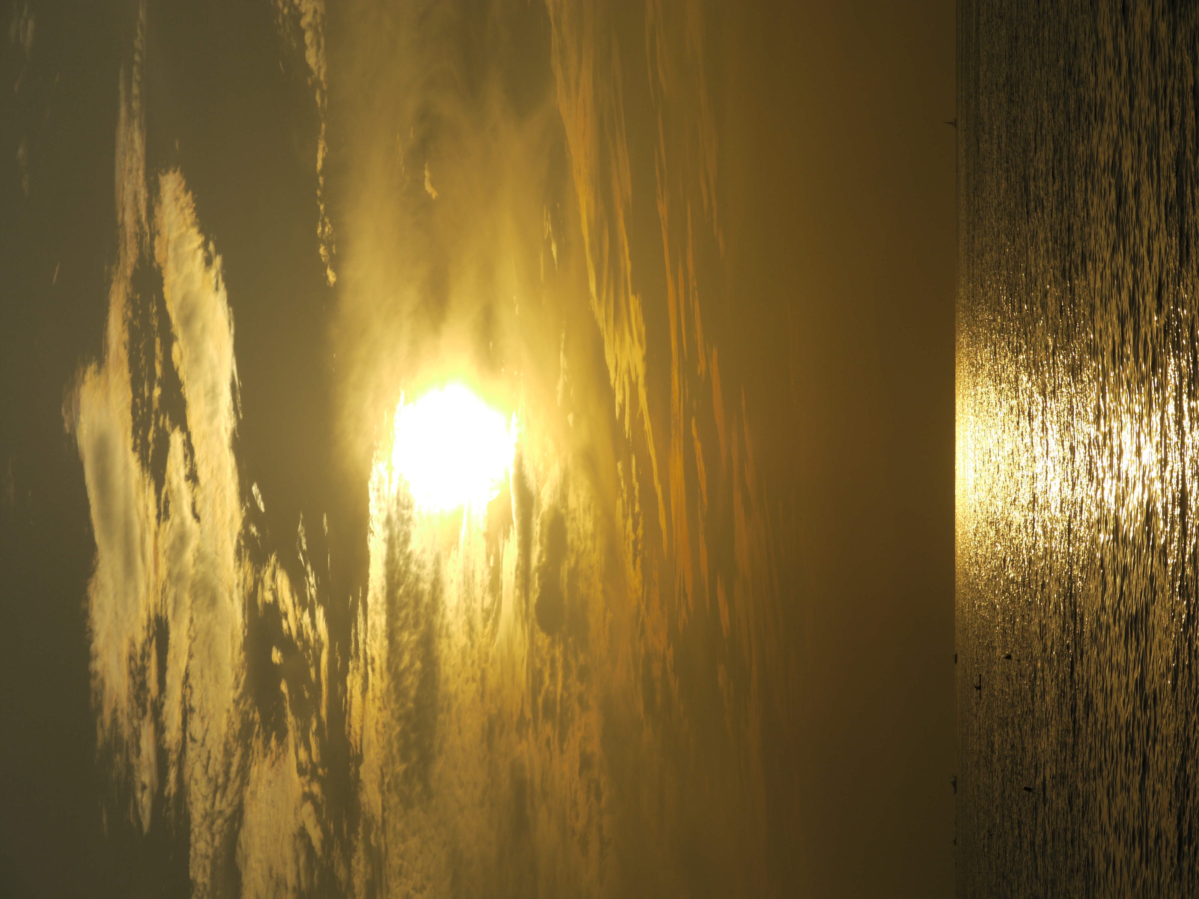 <b>DMC-GH1 / LUMIX G 14mm F2.5 ASPH. / 約5.7MB / 3,000×4,000 / 1/4,000秒 / F8 / 0.0EV / ISO100 / WB:晴天 / 58mm</b>