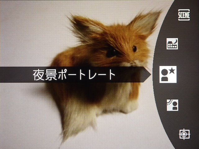 <b>夜景ポートレートモード</b>