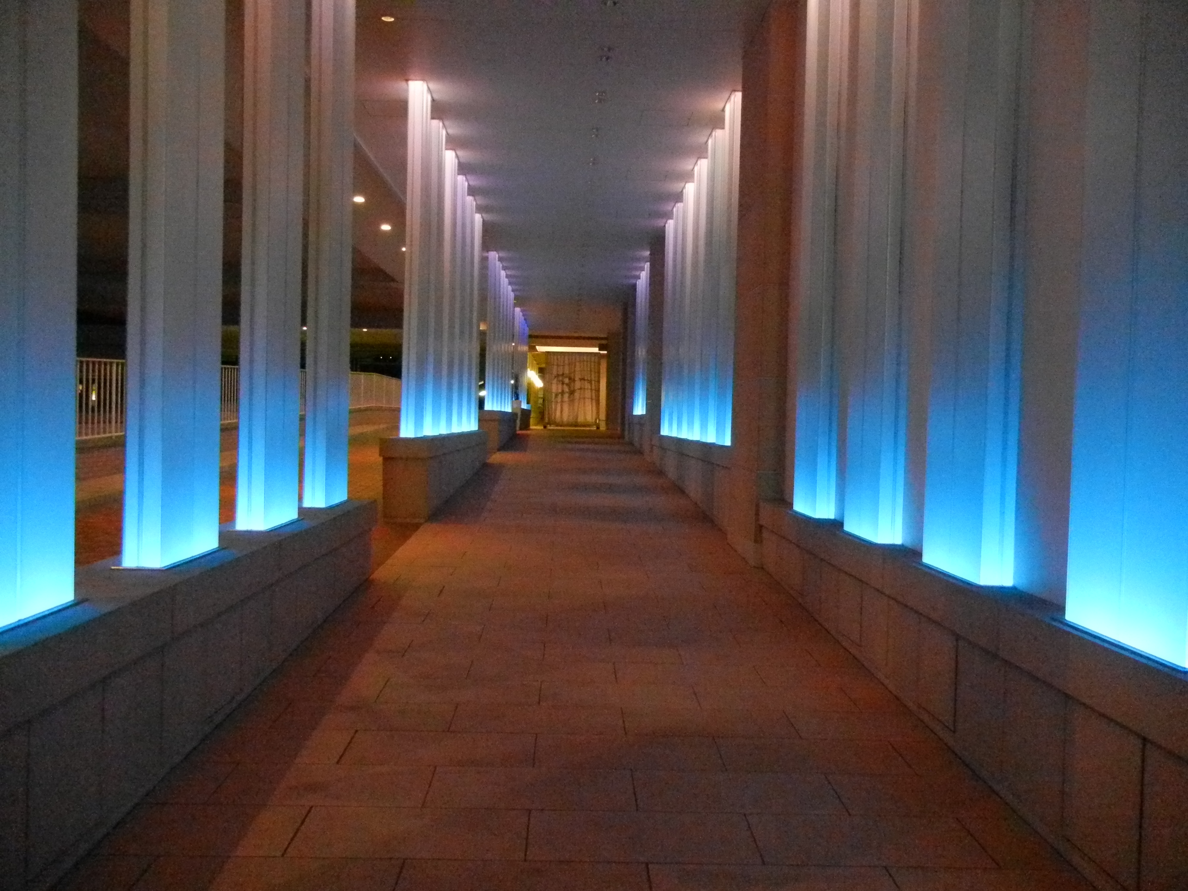 <b>ISO3200<br>COOLPIX S8100 / 約2.6MB / 4,000×3,000 / 1/88秒 / F3.5 / -0.7EV / WB:オート / 5.4mm</b>