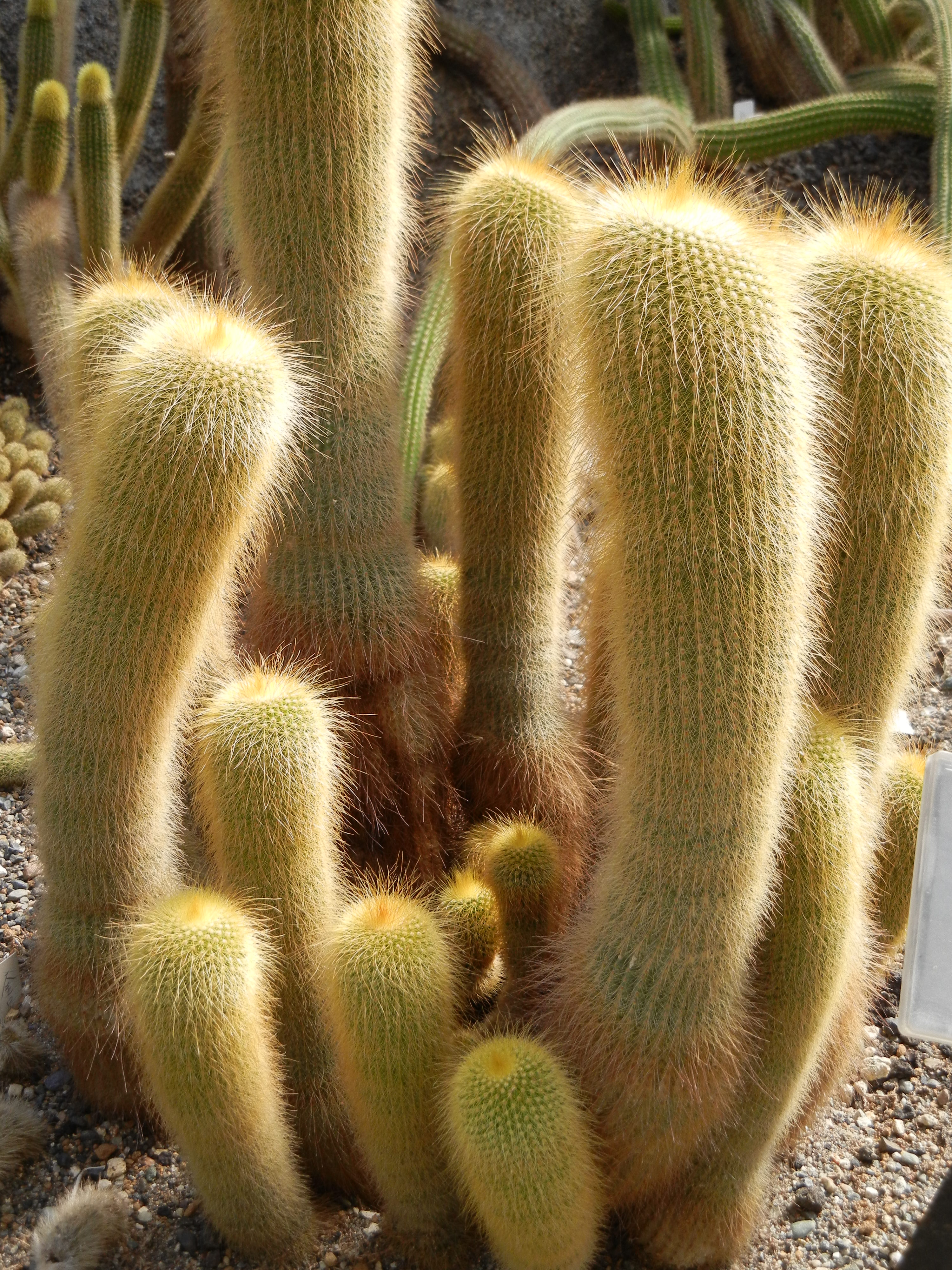 <b>COOLPIX S8100 / 約2.6MB / 3,000×4,000 / 1/178秒 / F4.1 / -0.3EV / ISO160 / WB:5,000K / 12.2mm</b>