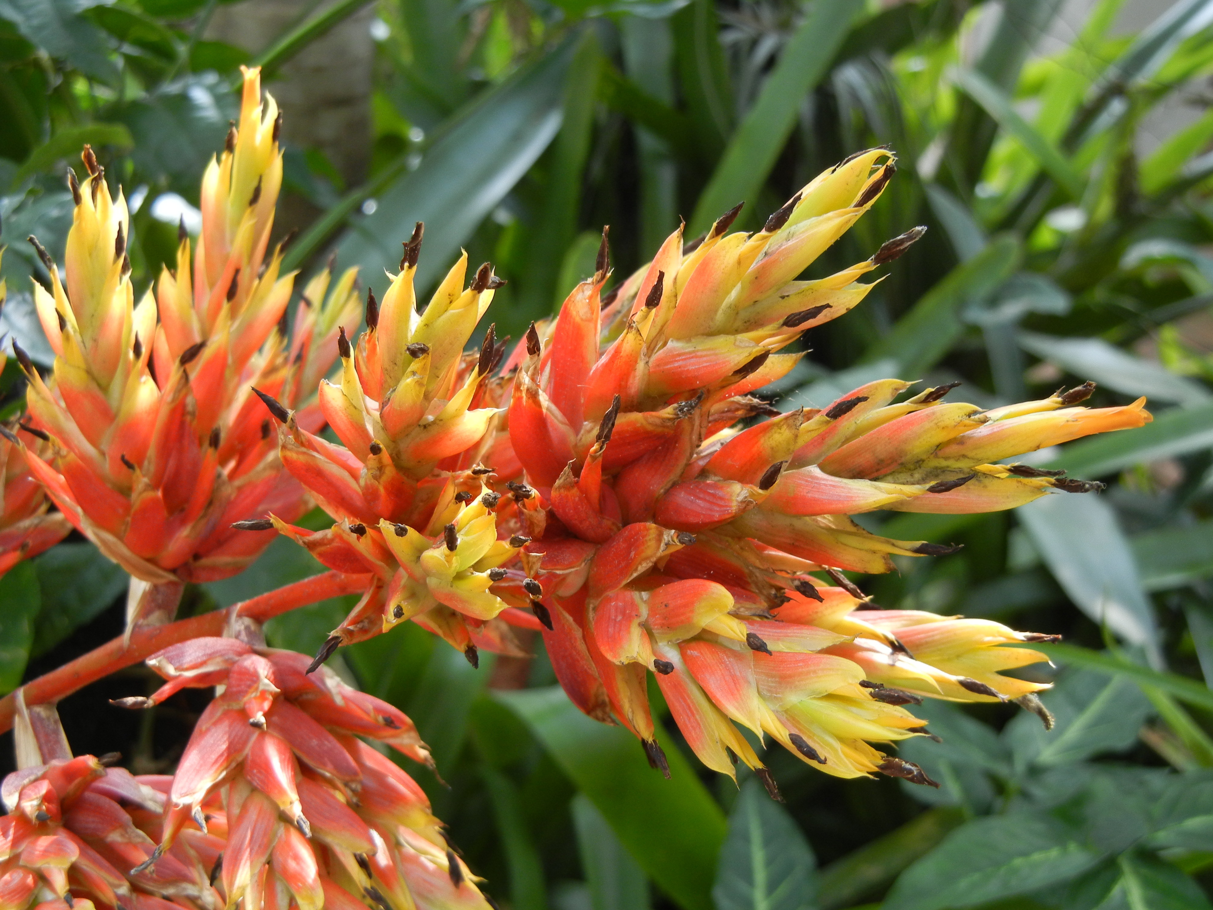 <b>COOLPIX S8100 / 約2.6MB / 4,000×3,000 / 1/31秒 / F3.9 / -0.3EV / ISO160 / WB:5,000K / 9.3mm</b>