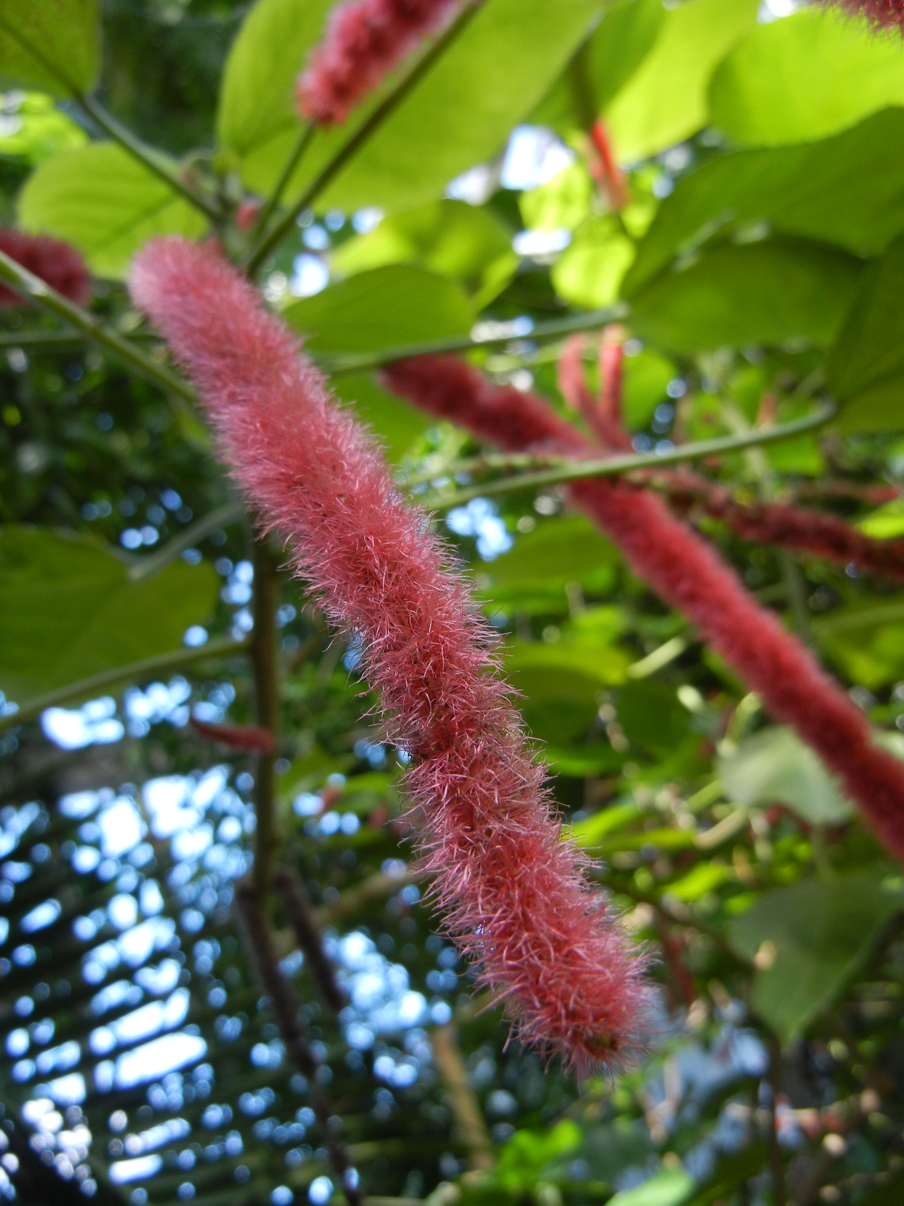 <b>COOLPIX S8100 / 約2.7MB / 3,000×4,000 / 1/91秒 / F3.6 / -0.3EV / ISO160 / WB:5,000K / 6.2mm</b>