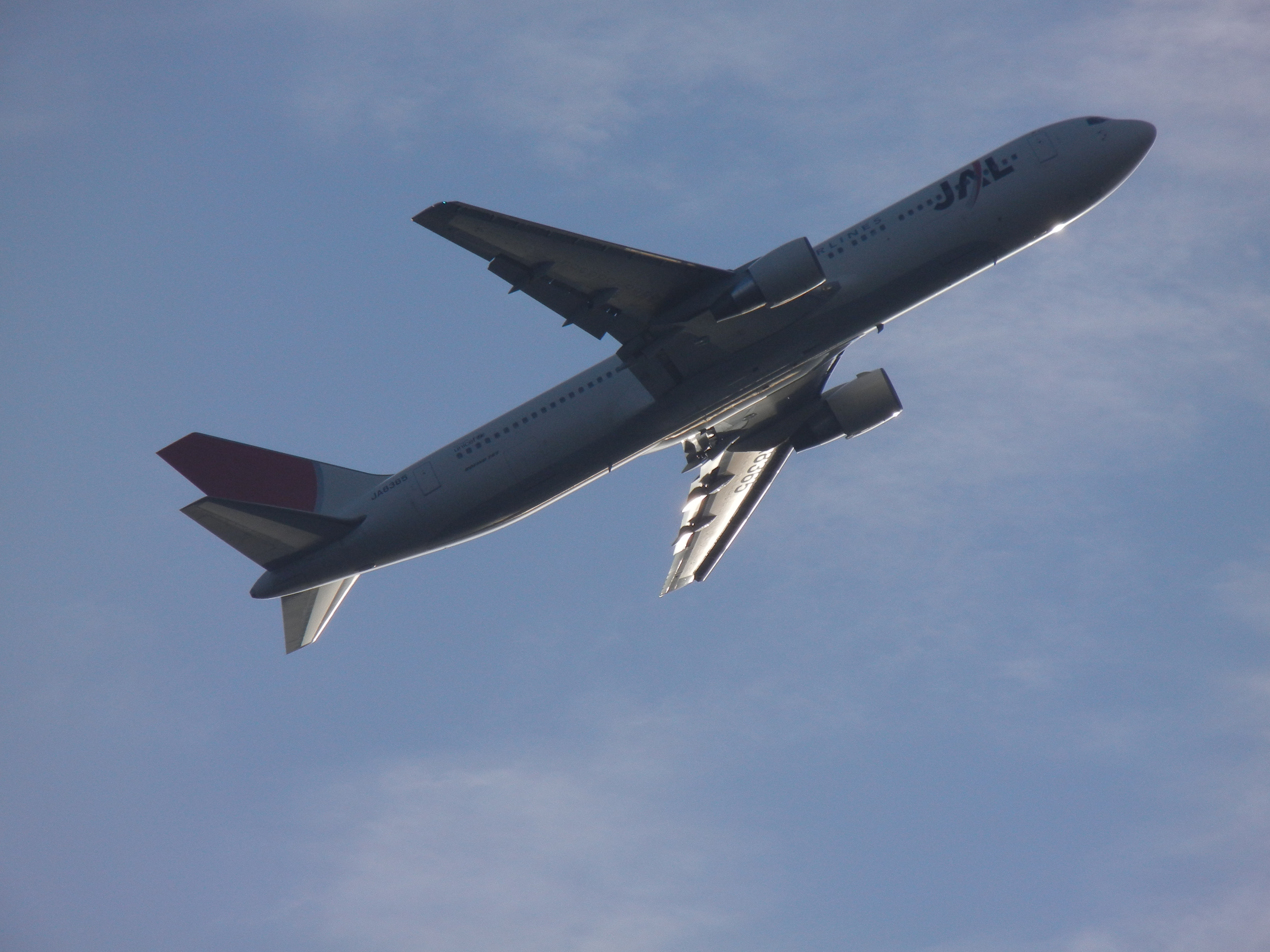 <b>COOLPIX S8100 / 約2.6MB / 4,000×3,000 / 1/368秒 / F11.2 / -0.7EV / ISO160 / WB:5,000K / 54mm</b>