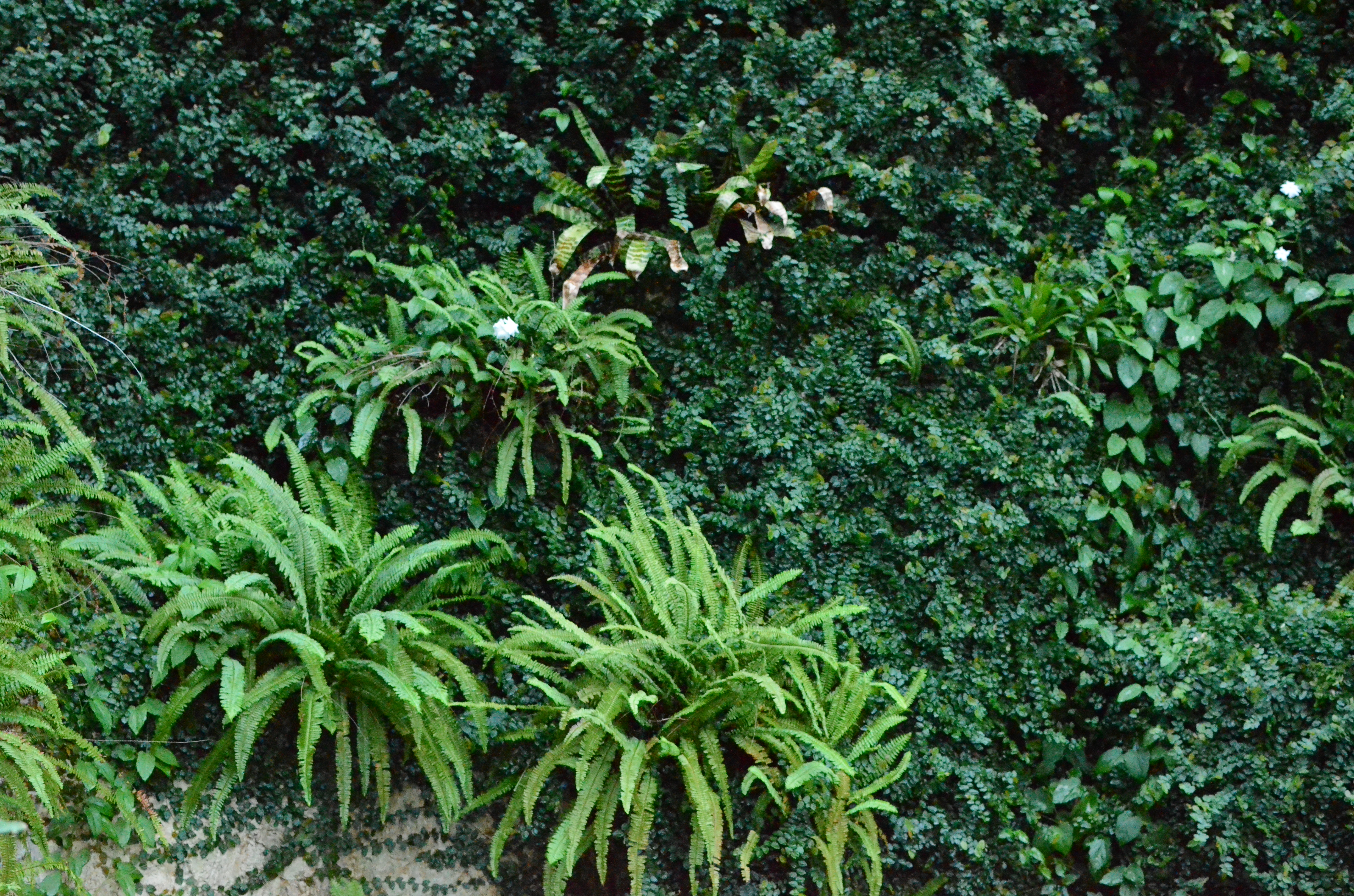 <b>D7000 / AF-S DX NIKKOR 35mm F1.8 G / 約13.4MB / 4,928×3,264 / 1/100秒 / F2.8 / -0.3EV / ISO12800 / WB:曇天 / 35mm</b>