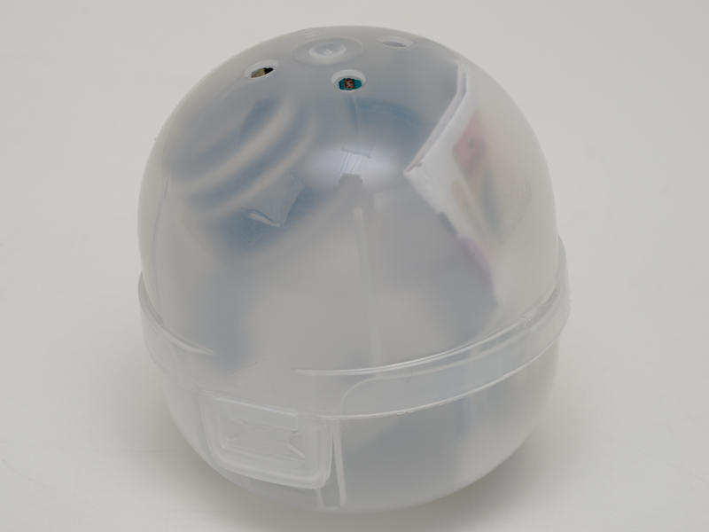 <b>カプセルに入っているところ</b>