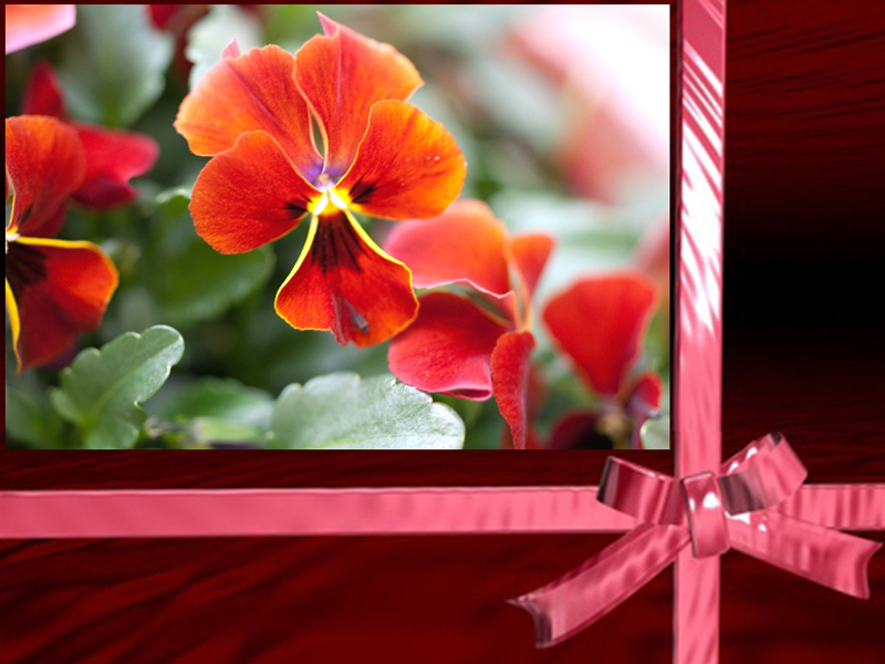 <b>付属のテンプレートで作成したフォトブックページの一例</b>