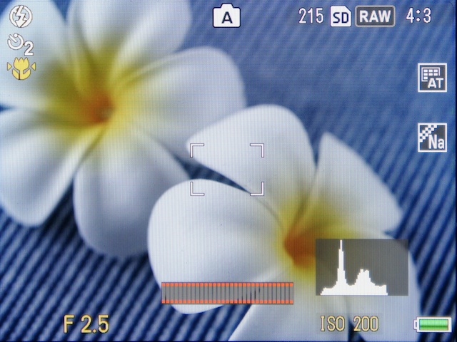 <b>こちらは「ノーマル」</b>