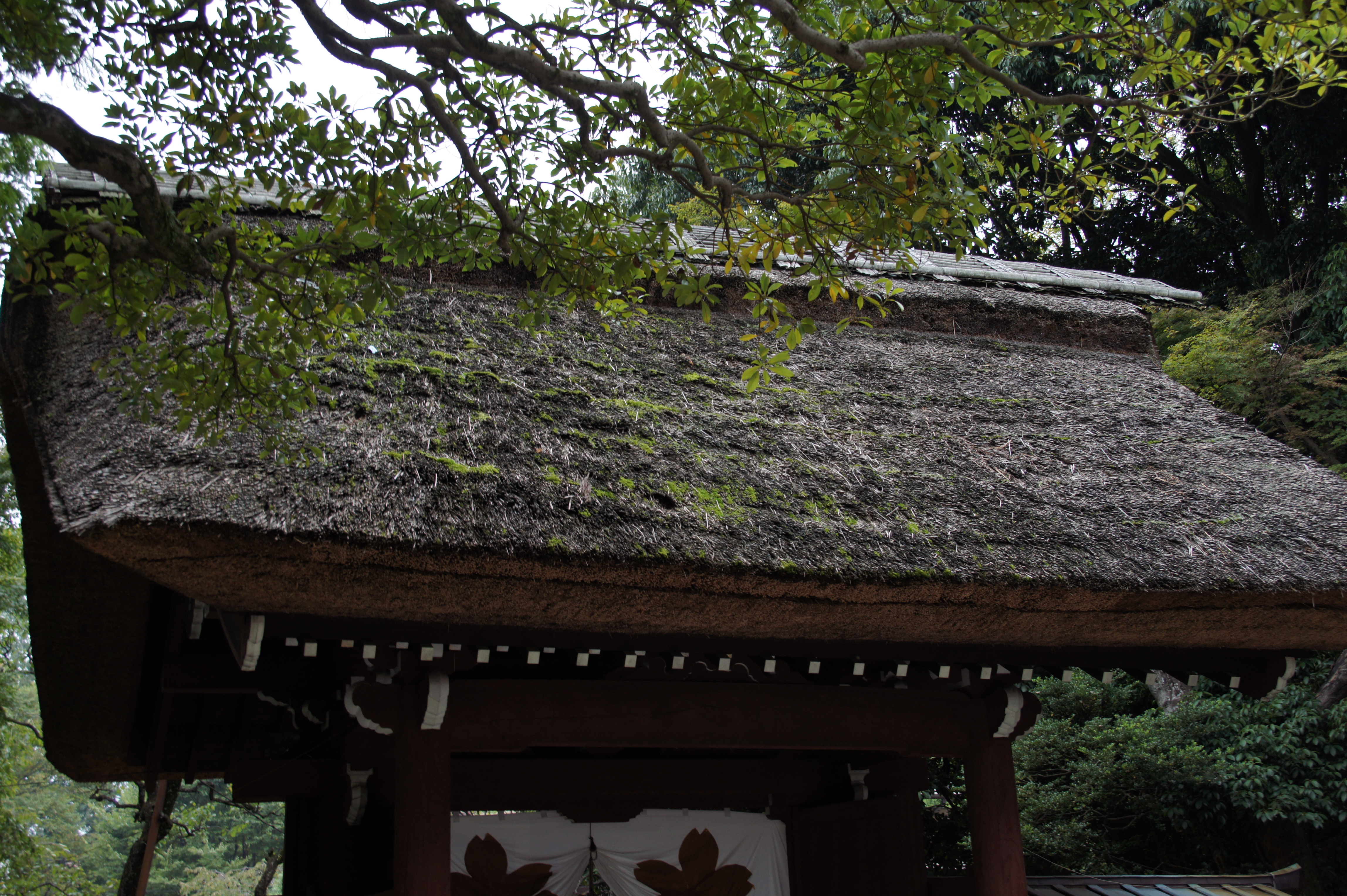 <b>31mm（35mm判換算で46.5mm）で1/8秒。手ブレ補正がよく効いている<br>NEX-5 / E 18-200mm F3.5-6.3 OSS / 約6.9MB / 4,592×3,056 / 1/8秒 / F5 / -1.0EV / ISO200 / WB:オート / 31mm</b>