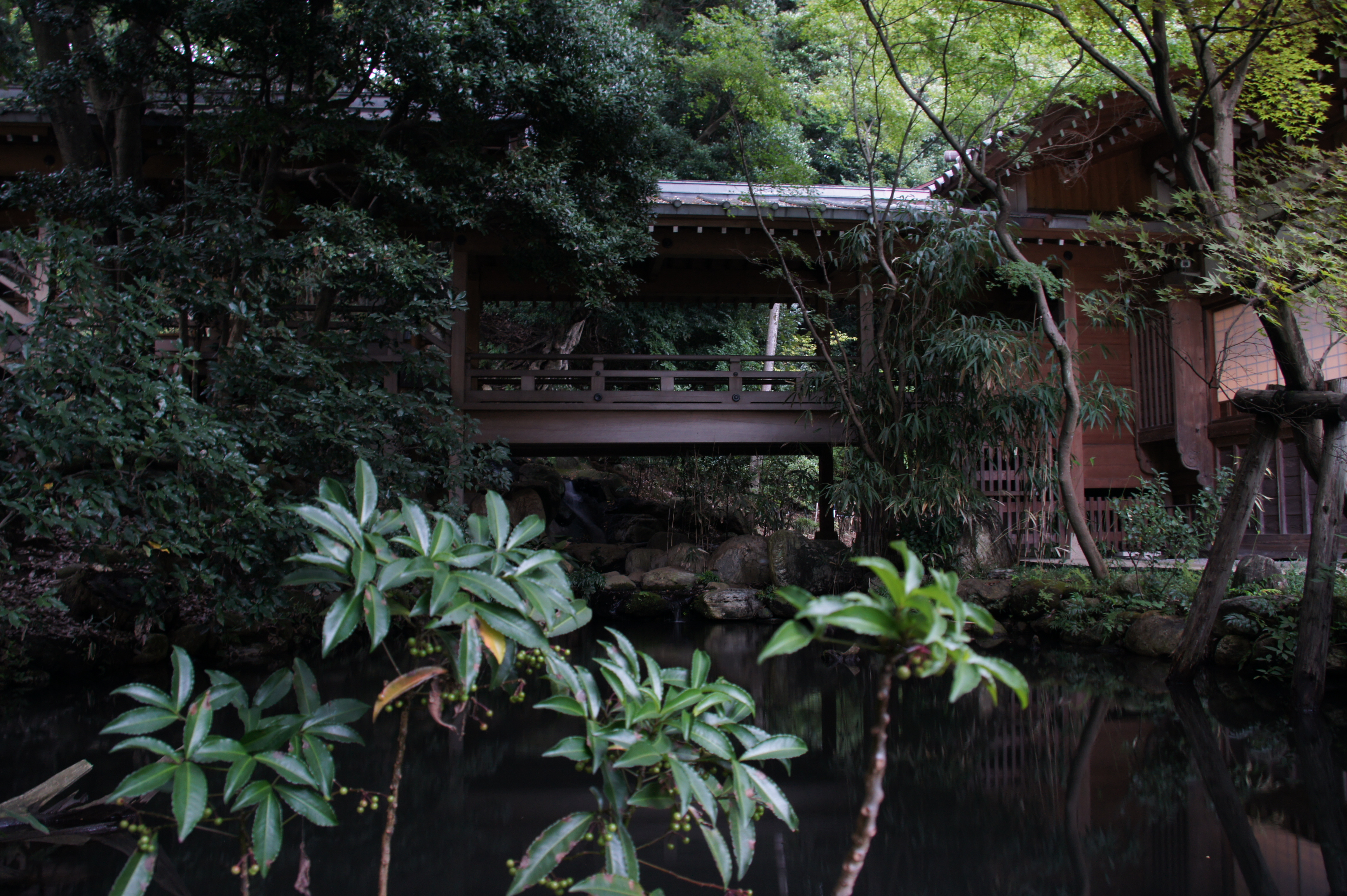 <b>三脚が使えない場合は、ボディよりもレンズを固定して撮影した方が安定する<br>NEX-5 / E 18-200mm F3.5-6.3 OSS / 約5.3MB / 4,592×3,056 / 1.0秒 / F5.6 / -1.0EV / ISO200 / WB:オート / 18mm</b>