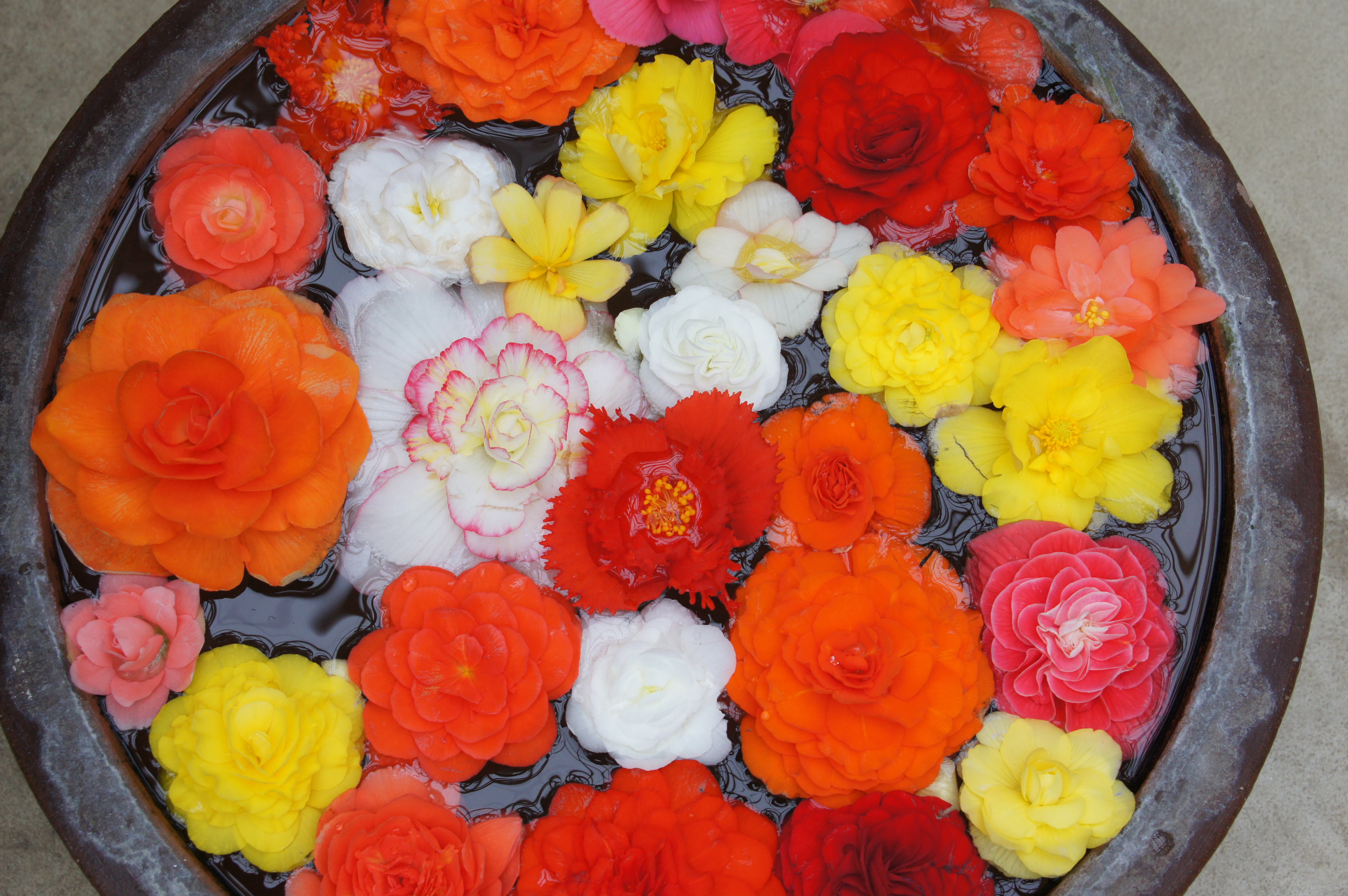 <b>NEX-5 / E 18-200mm F3.5-6.3 OSS / 約5.4MB / 4,592×3,056 / 1/80秒 / F6.3 / +0.3EV / ISO500 / WB:オート / 46mm</b>