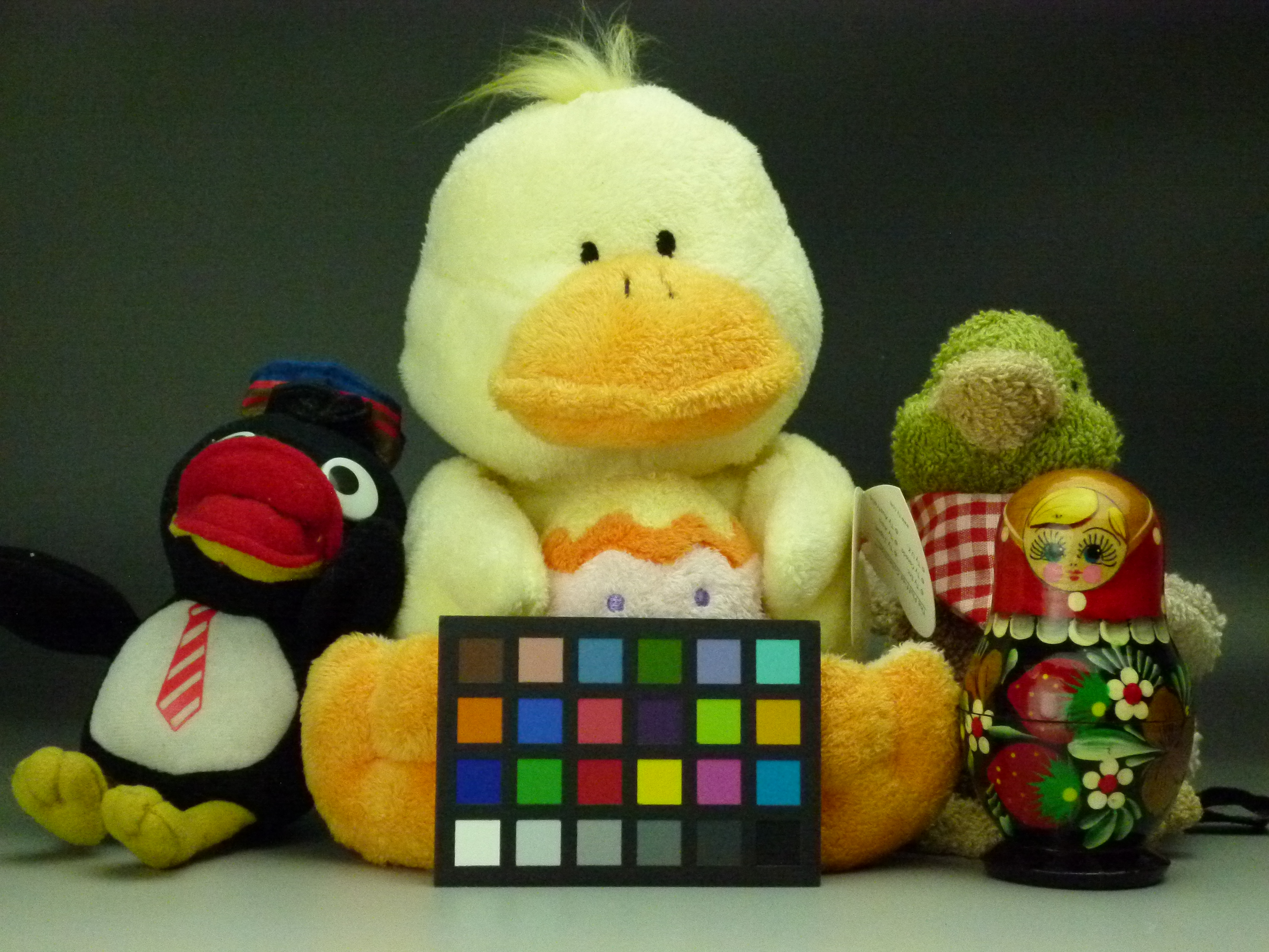 <b>ISO800<br>DMC-FX700 / 約5.4MB / 4,320×3,240 / 1/500秒 / F5 / 0.0EV / WB:オート / 12mm</b>