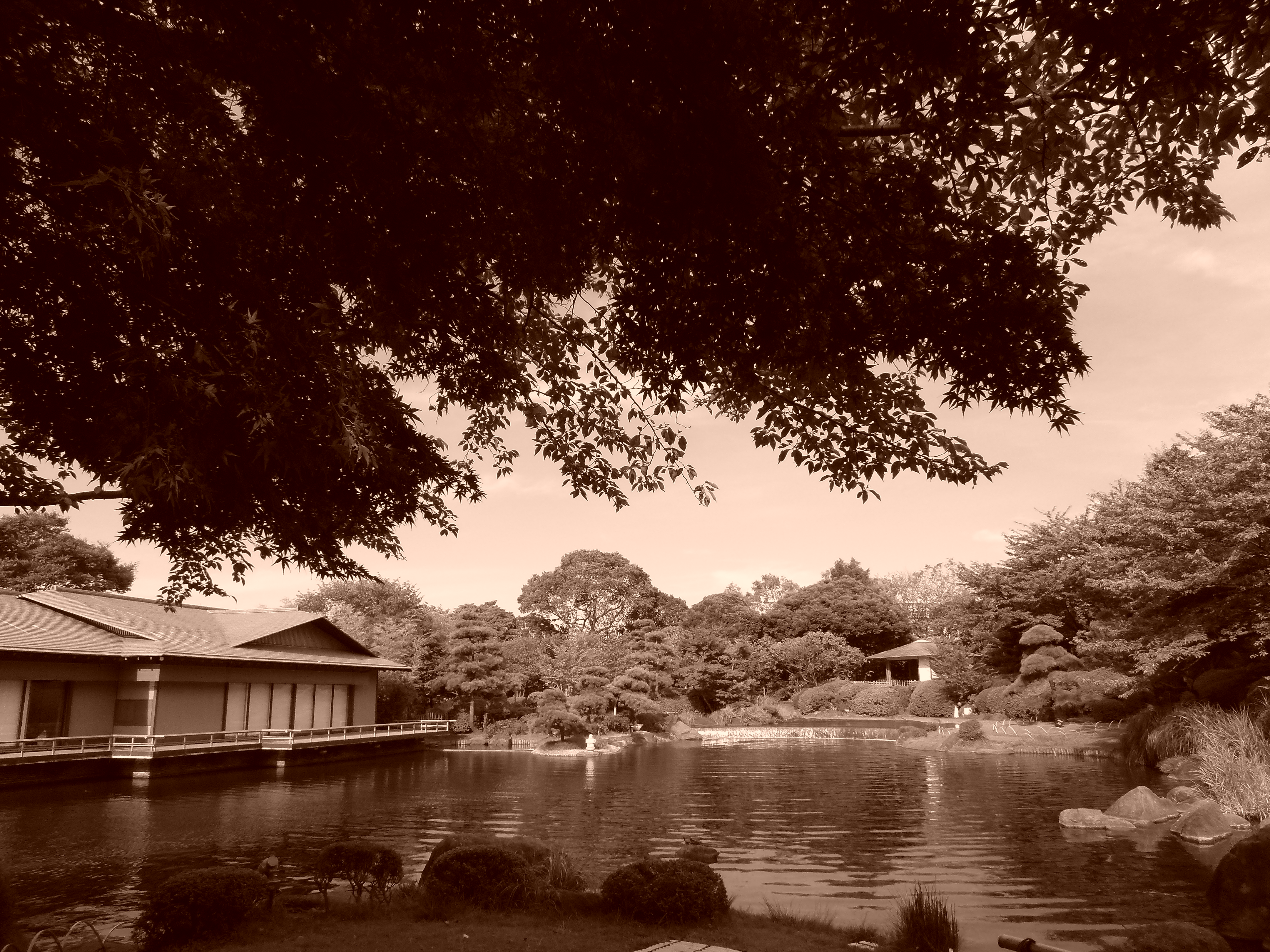 <b>カラーエフェクト：セピア<br>DMC-FX700 / 約5.4MB / 4,320×3,240 / 1/400秒 / F4 / 0.0EV / ISO100 / WB:オート / 4.3mm</b>