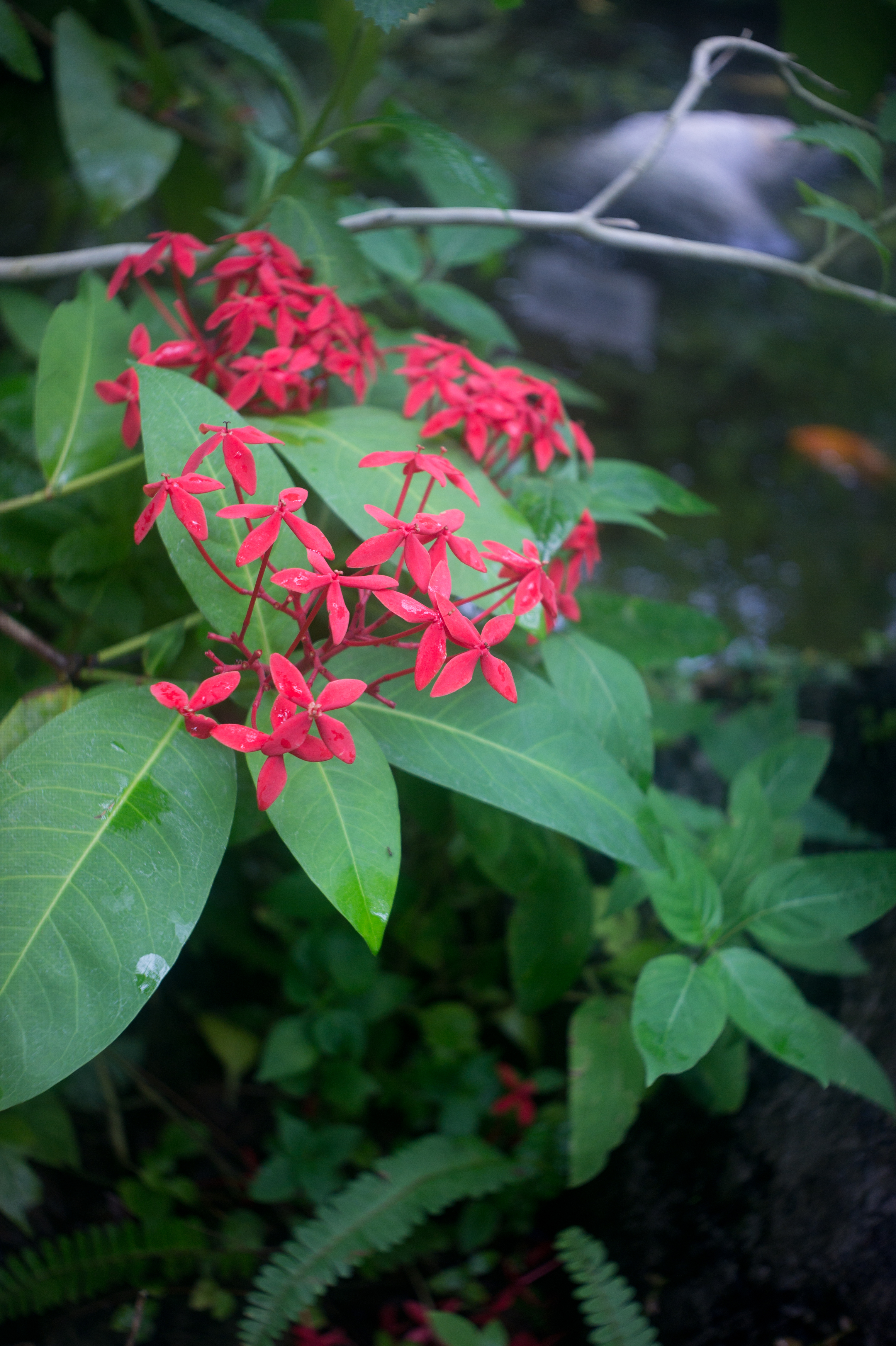 <b>NEX-5 / インダスター69 28mm F2.8 / 4,592×3,056 / 1/50秒 / F4 / 0EV / ISO200 / WB:オート / 28mm</b>