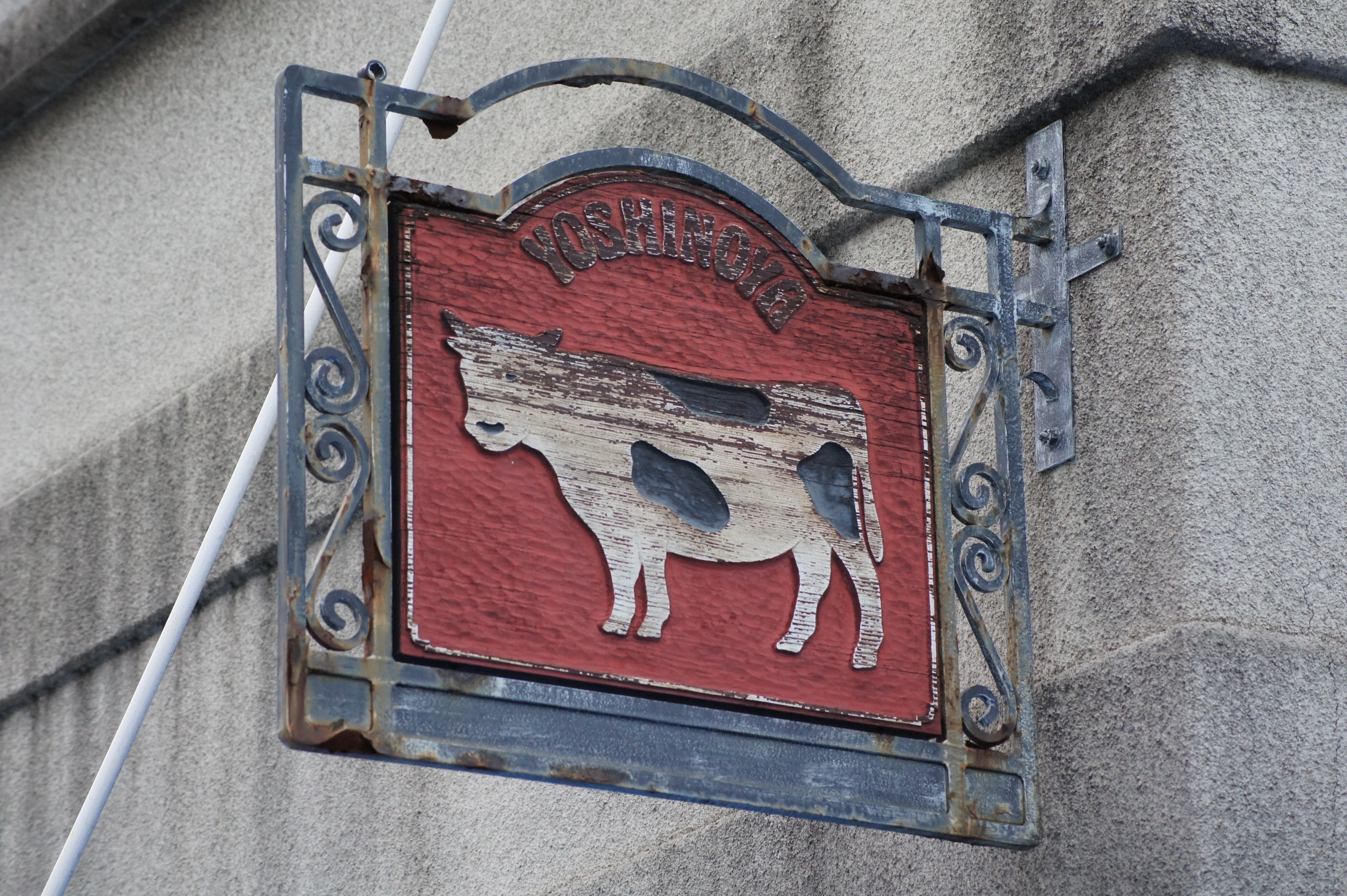 <b>NEX-5 / DT 55-200mm F4-5.6 SAM / 約6.0MB / 4,592×3,056 / 1/80秒 / F6.3 / 0.0EV / ISO1600 / WB:オート / 90mm / クリエイティブスタイル:スタンダード / Dレンジオプティマイザー:オート / 高感度ノイズリダクション:オート</b>