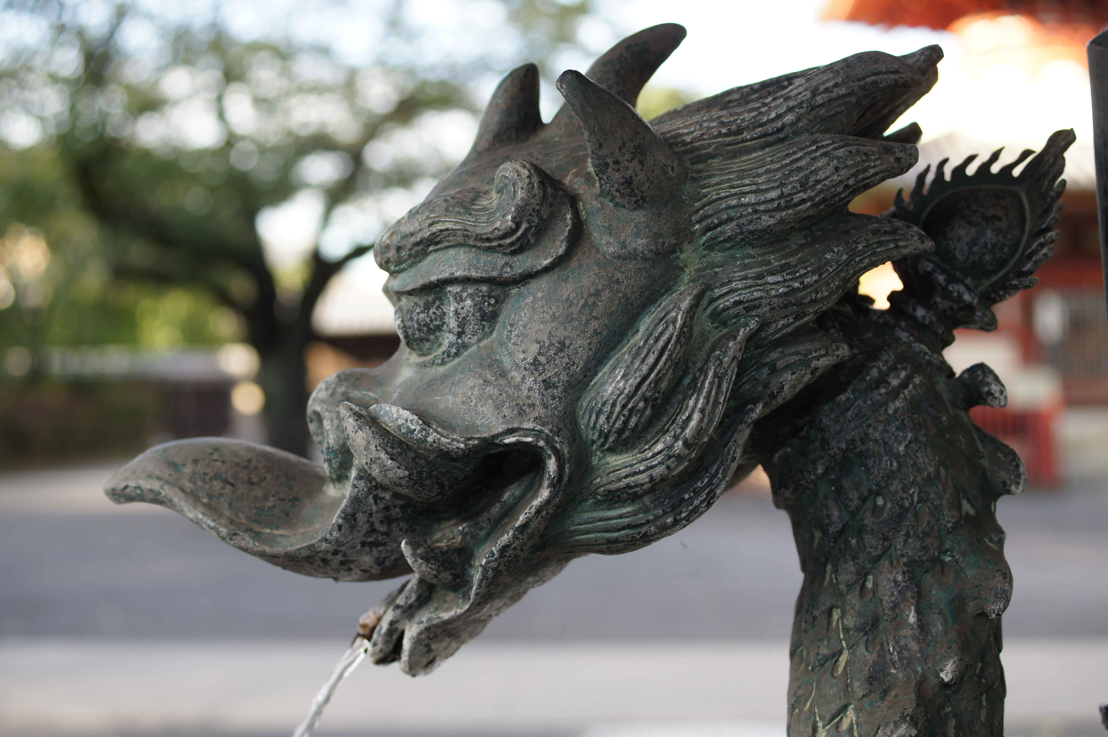 <b>NEX-5 / DT 30mm F2.8 Macro SAM / 約4.2MB / 4,592×3,056 / 1/100秒 / F4.5 / 0.0EV / ISO200 / WB:オート / 30mm / クリエイティブスタイル:スタンダード / Dレンジオプティマイザー:オート / 高感度ノイズリダクション:オート</b>