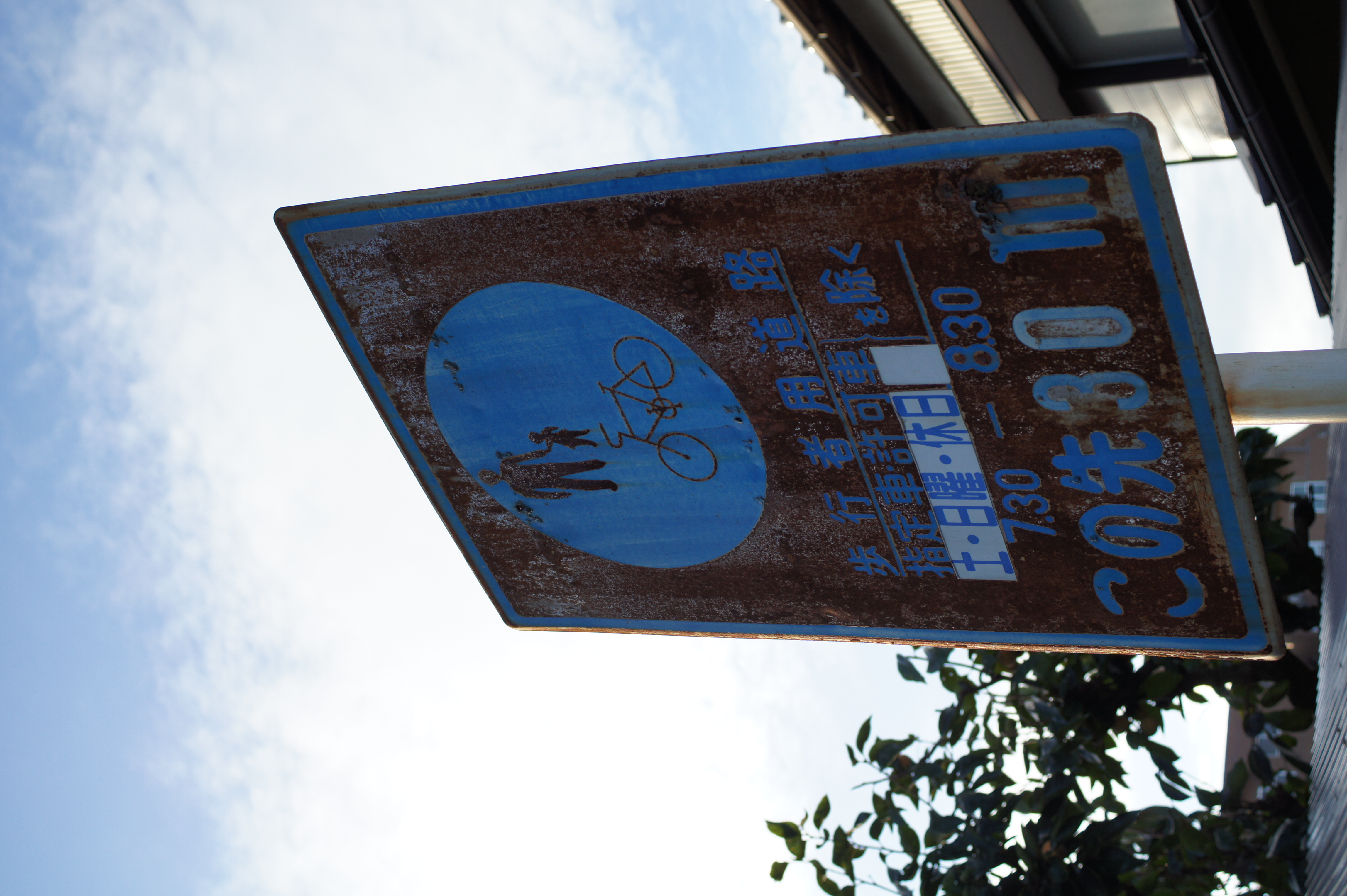 <b>NEX-5 / DT 30mm F2.8 Macro SAM / 約3.7MB / 3,056×4,592 / 1/500秒 / F5 / 0.0EV / ISO200 / WB:オート / 30mm / クリエイティブスタイル:スタンダード / Dレンジオプティマイザー:オート / 高感度ノイズリダクション:オート</b>