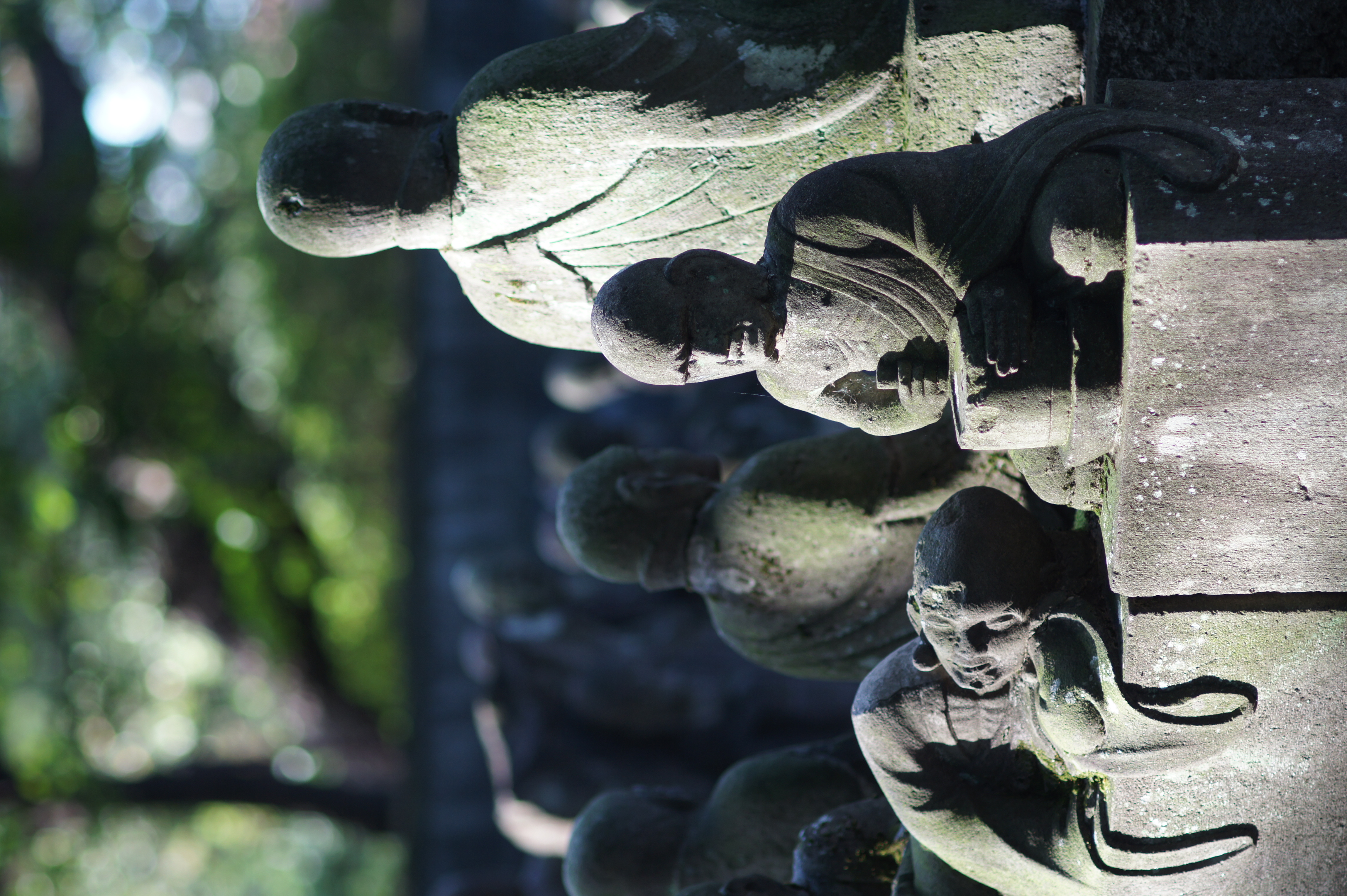 <b>NEX-5 / 100mm F2.8 Macro / 約5.0MB / 3,056×4,592 / 1/200秒 / F2.2 / 0.0EV / ISO200 / WB:オート / 100mm / クリエイティブスタイル:スタンダード / Dレンジオプティマイザー:オート / 高感度ノイズリダクション:オート</b>