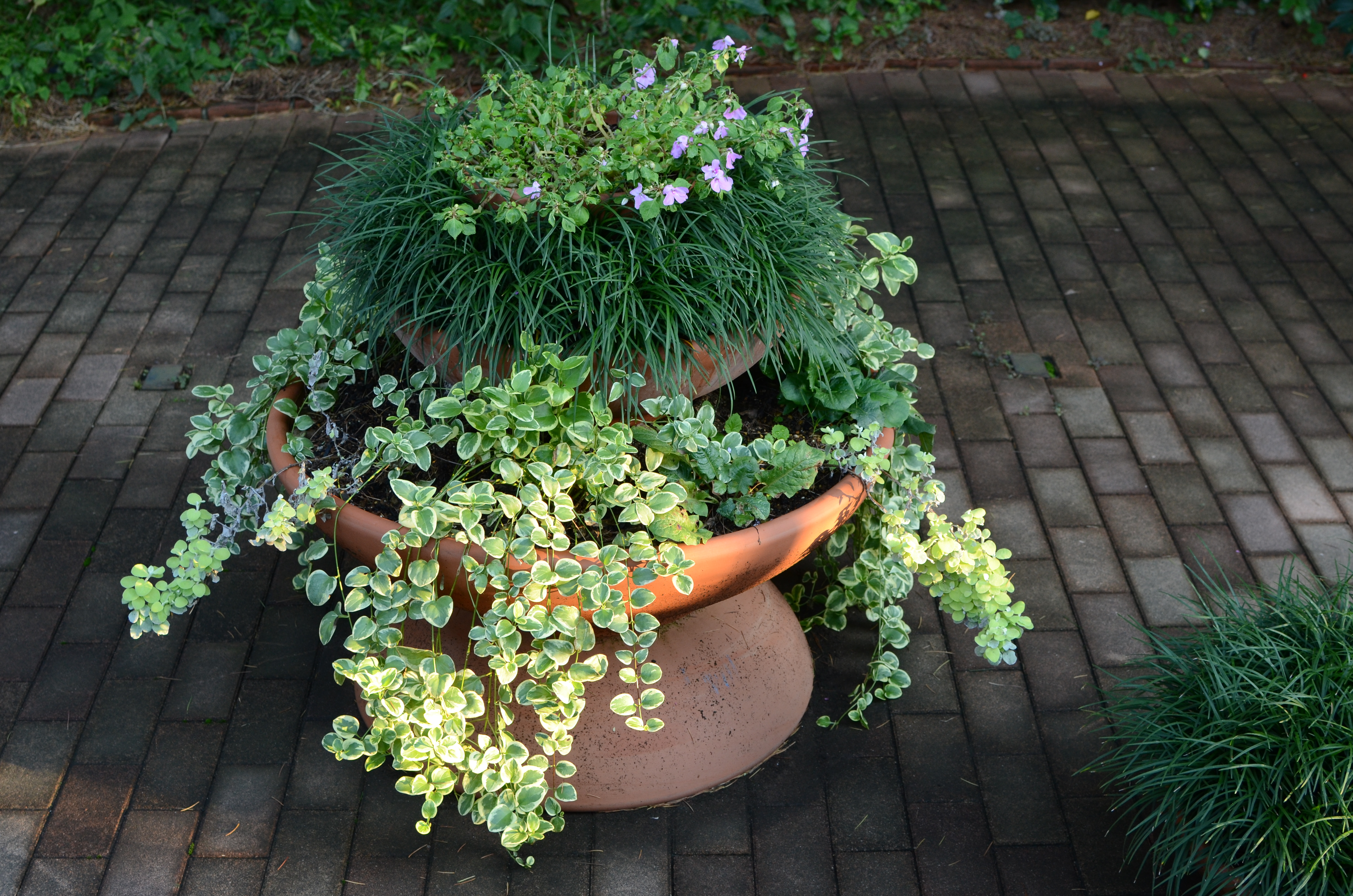 <b>ISO400（高感度ノイズ低減:標準）<br>D7000 / AF-S DX NIKKOR 35mm F1.8 G / 約8.7MB / 4,928×3,264 / 1/40秒 / F5.6 / -0.3EV / WB:晴天 / 35mm</b>