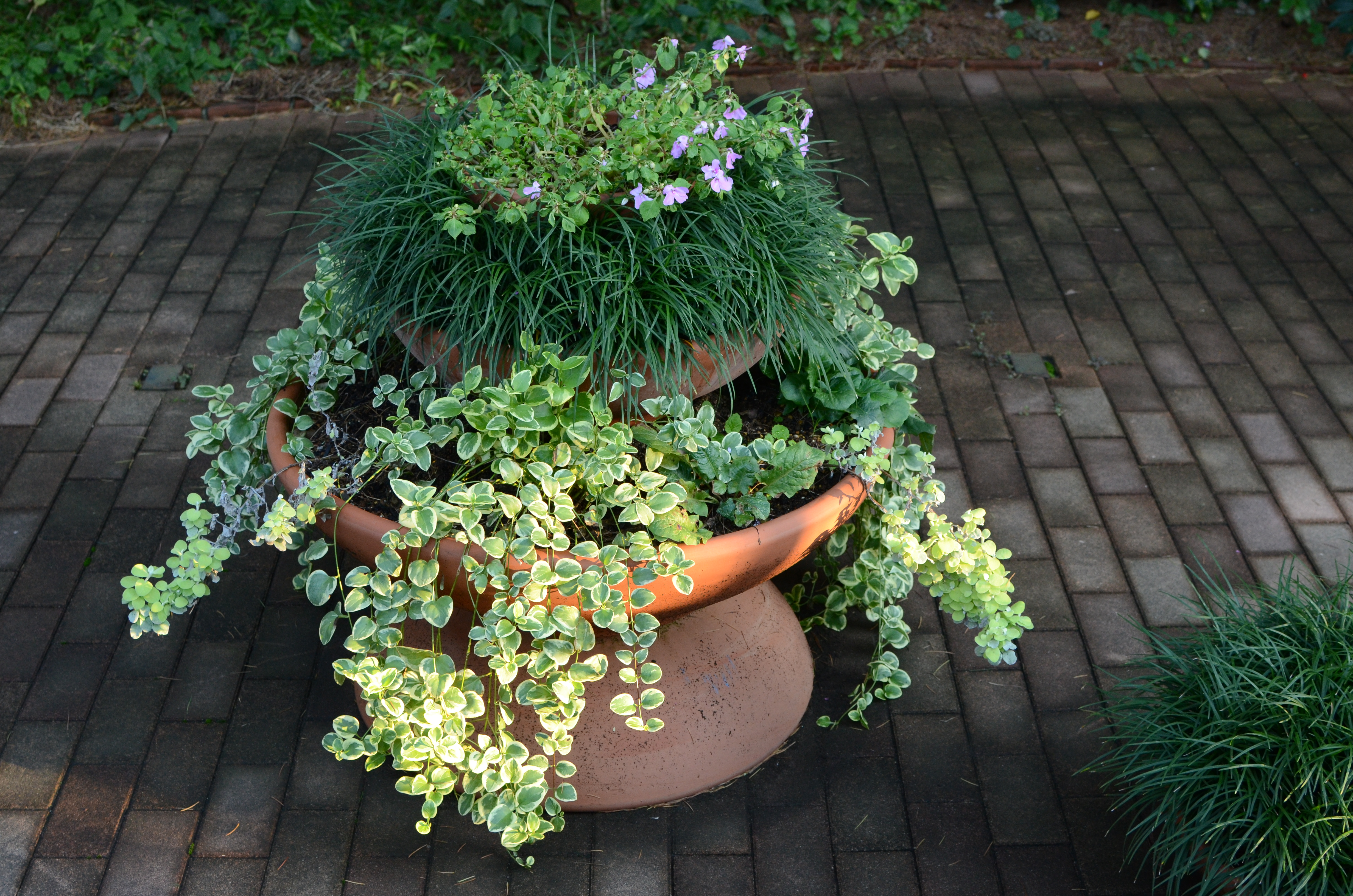 <b>ISO800（高感度ノイズ低減:標準）<br>D7000 / AF-S DX NIKKOR 35mm F1.8 G / 約9.3MB / 4,928×3,264 / 1/80秒 / F5.6 / -0.3EV / WB:晴天 / 35mm</b>