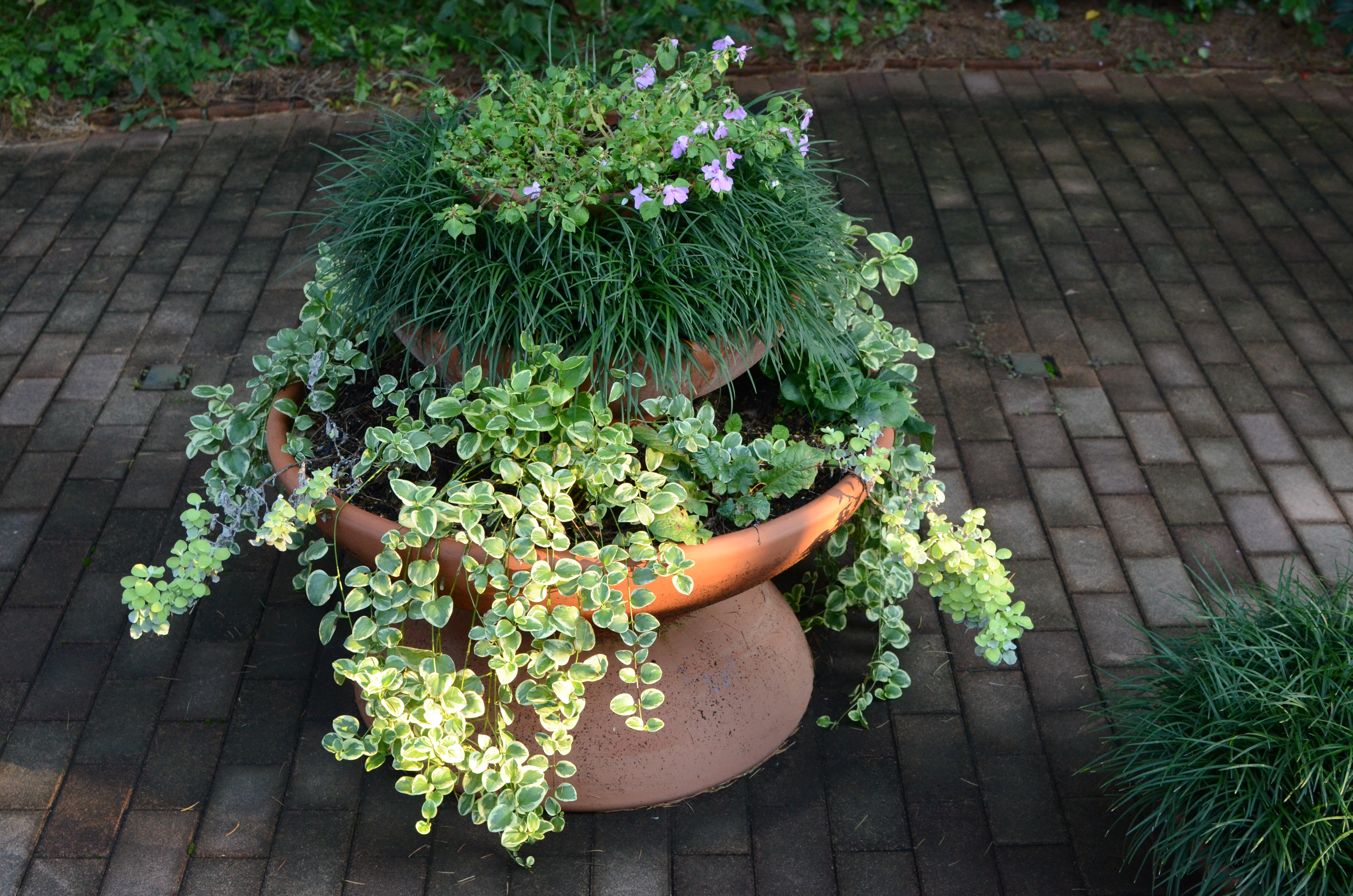 <b>ISO1600（高感度ノイズ低減:標準）<br>D7000 / AF-S DX NIKKOR 35mm F1.8 G / 約9.7MB / 4,928×3,264 / 1/160秒 / F5.6 / -0.3EV / WB:晴天 / 35mm</b>