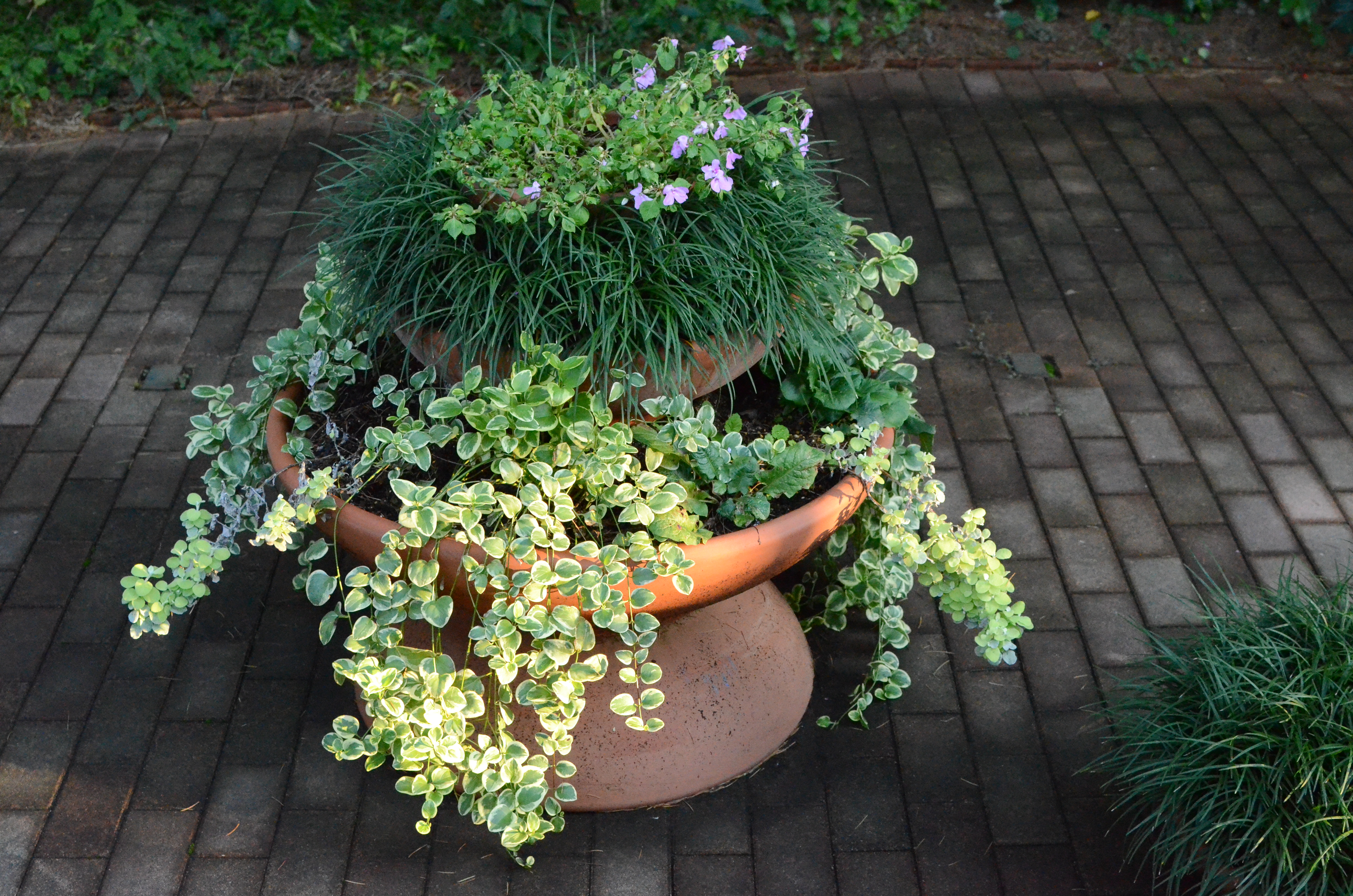 <b>ISO6400（高感度ノイズ低減:標準）<br>D7000 / AF-S DX NIKKOR 35mm F1.8 G / 約10.5MB / 4,928×3,264 / 1/640秒 / F5.6 / -0.3EV / WB:晴天 / 35mm</b>