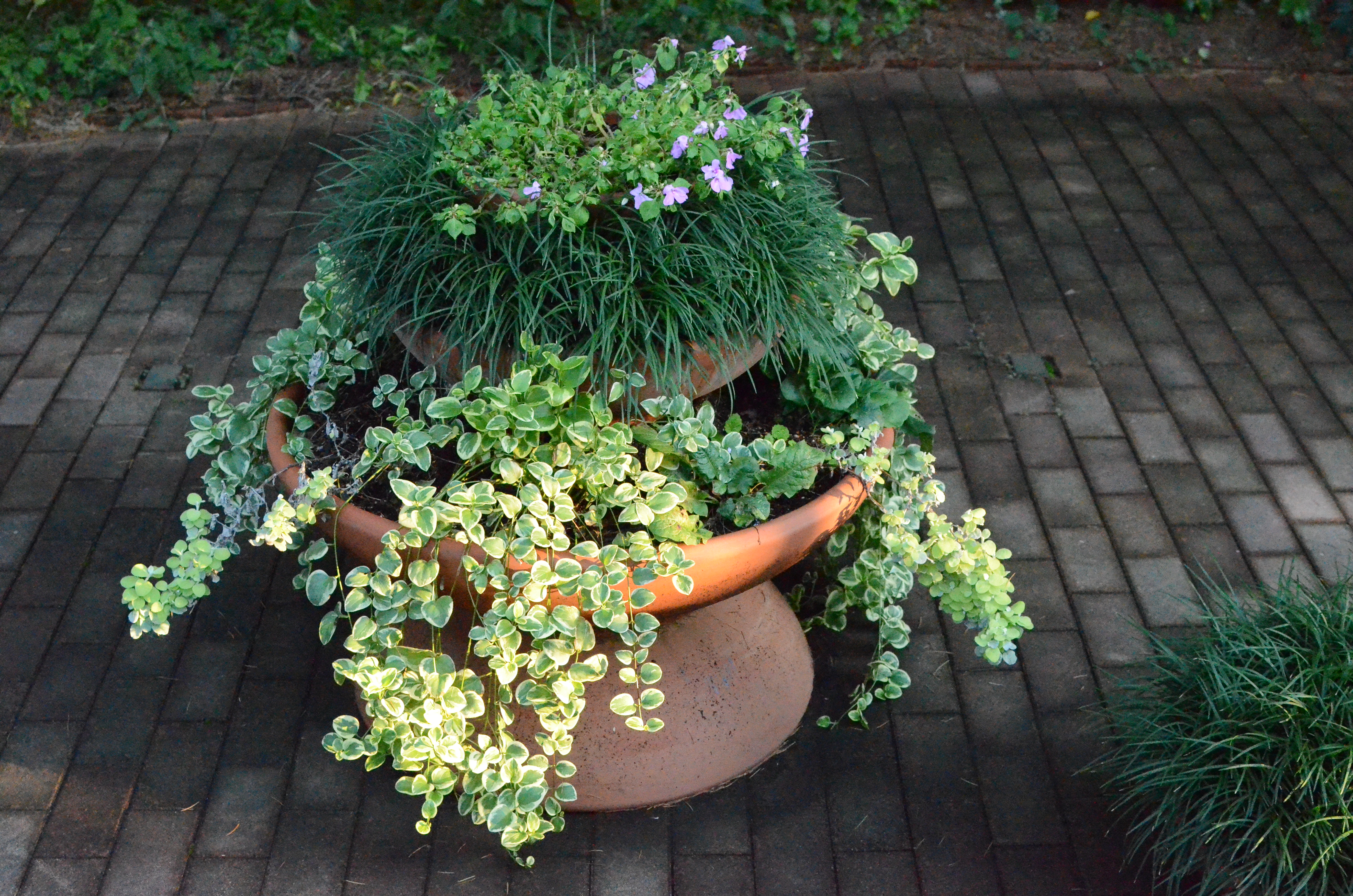 <b>ISO12800（高感度ノイズ低減:標準）<br>D7000 / AF-S DX NIKKOR 35mm F1.8 G / 約12.1MB / 4,928×3,264 / 1/1,250秒 / F5.6 / -0.3EV / WB:晴天 / 35mm</b>