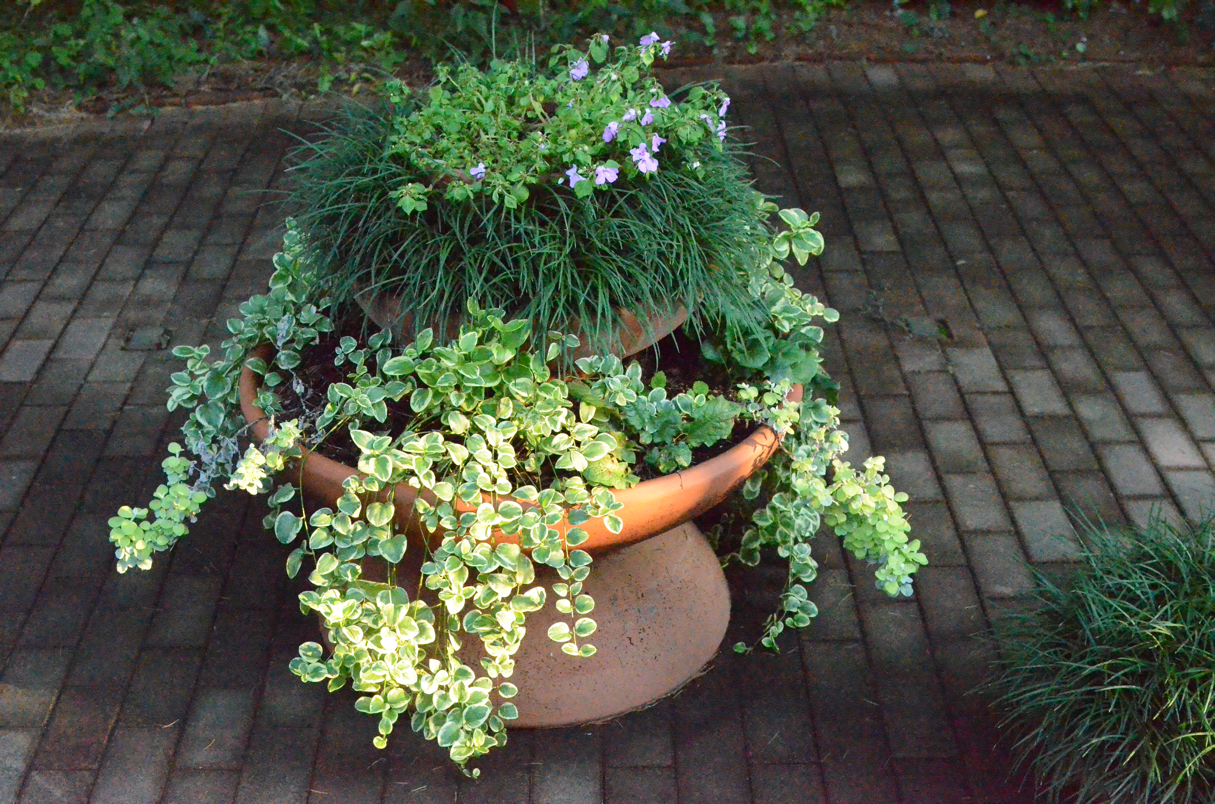 <b>ISO25600（高感度ノイズ低減:標準）<br>D7000 / AF-S DX NIKKOR 35mm F1.8 G / 約12.7MB / 4,928×3,264 / 1/2,500秒 / F5.6 / -0.3EV / WB:晴天 / 35mm</b>