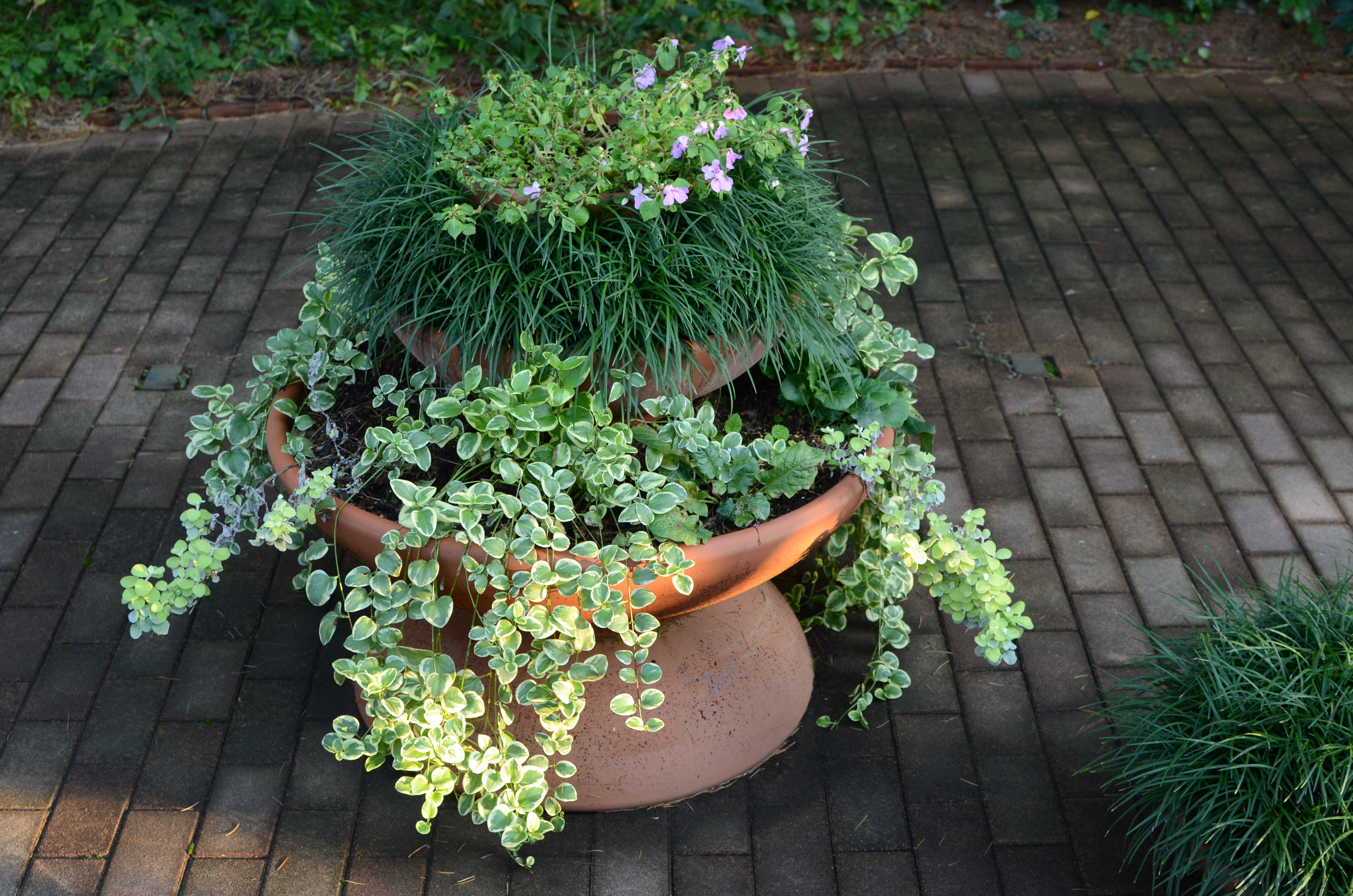 <b>ISO800（高感度ノイズ低減:弱）<br>D7000 / AF-S DX NIKKOR 35mm F1.8 G / 約9.3MB / 4,928×3,264 / 1/80秒 / F5.6 / -0.3EV / WB:晴天 / 35mm</b>