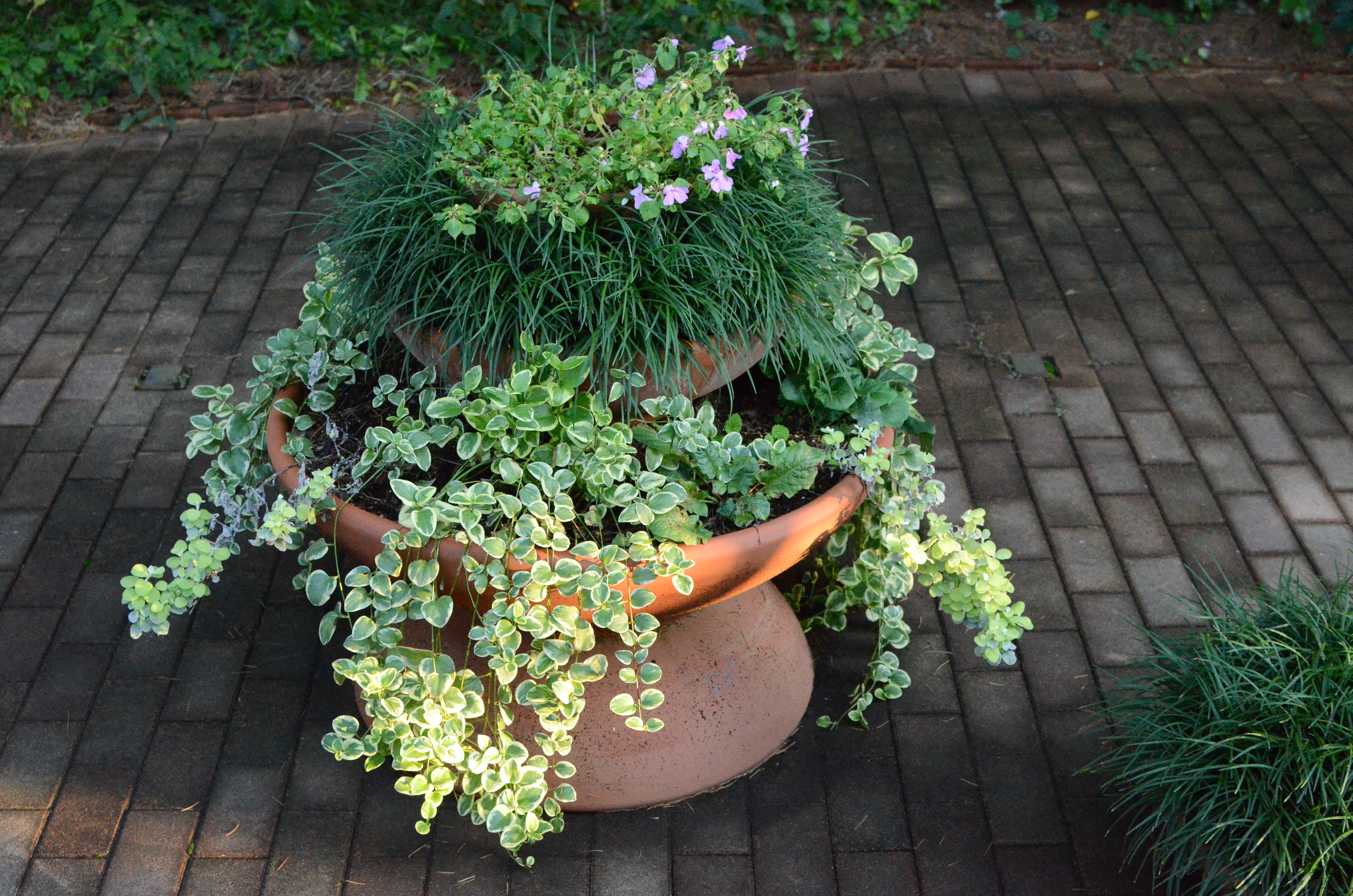 <b>ISO6400（高感度ノイズ低減:弱）<br>D7000 / AF-S DX NIKKOR 35mm F1.8 G / 約11.2MB / 4,928×3,264 / 1/640秒 / F5.6 / -0.3EV / WB:晴天 / 35mm</b>