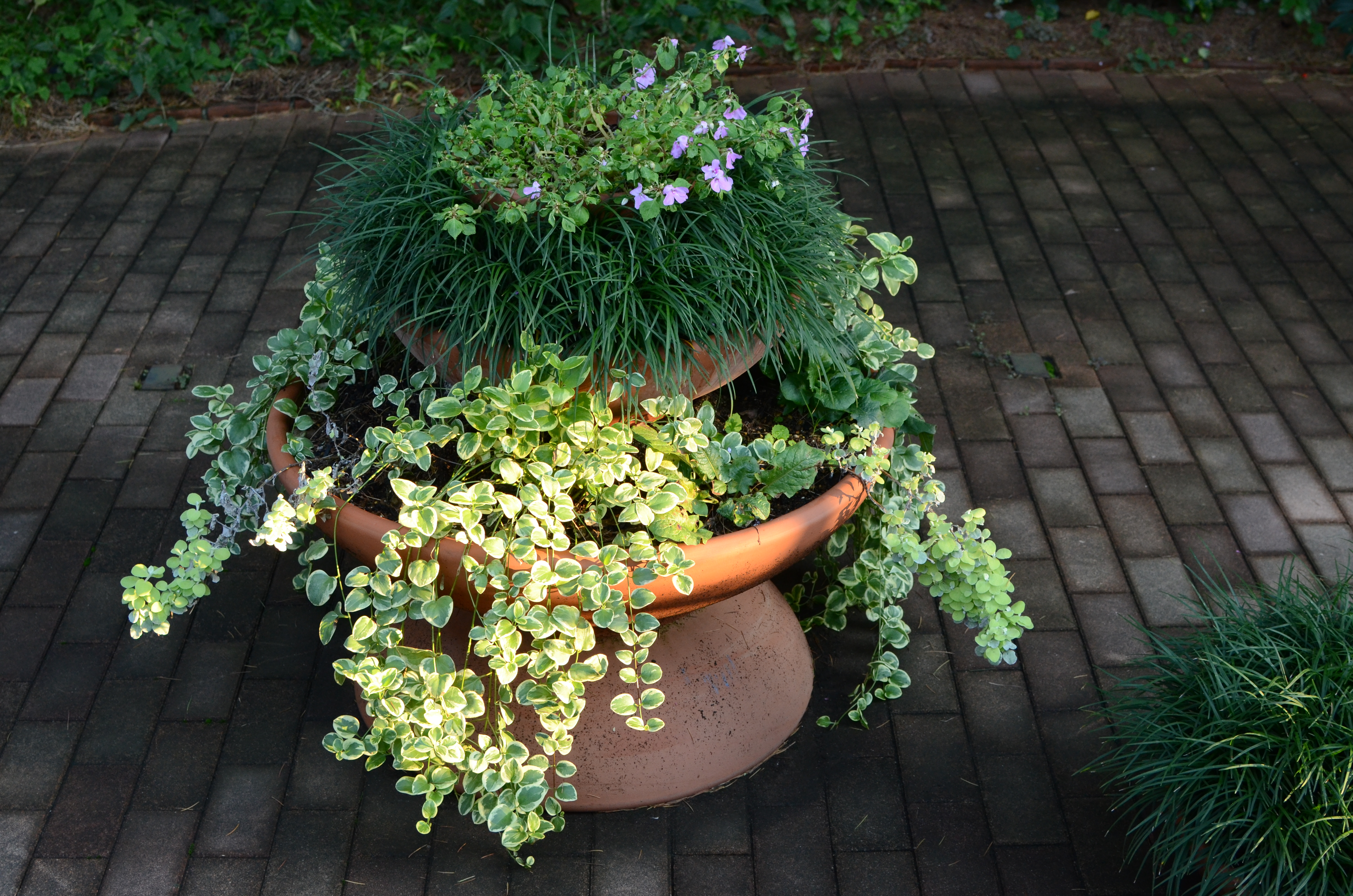 <b>ISO800（高感度ノイズ低減:強）<br>D7000 / AF-S DX NIKKOR 35mm F1.8 G / 約9.0MB / 4,928×3,264 / 1/100秒 / F5.6 / -0.3EV / ISO800 / WB:晴天 / 35mm</b>