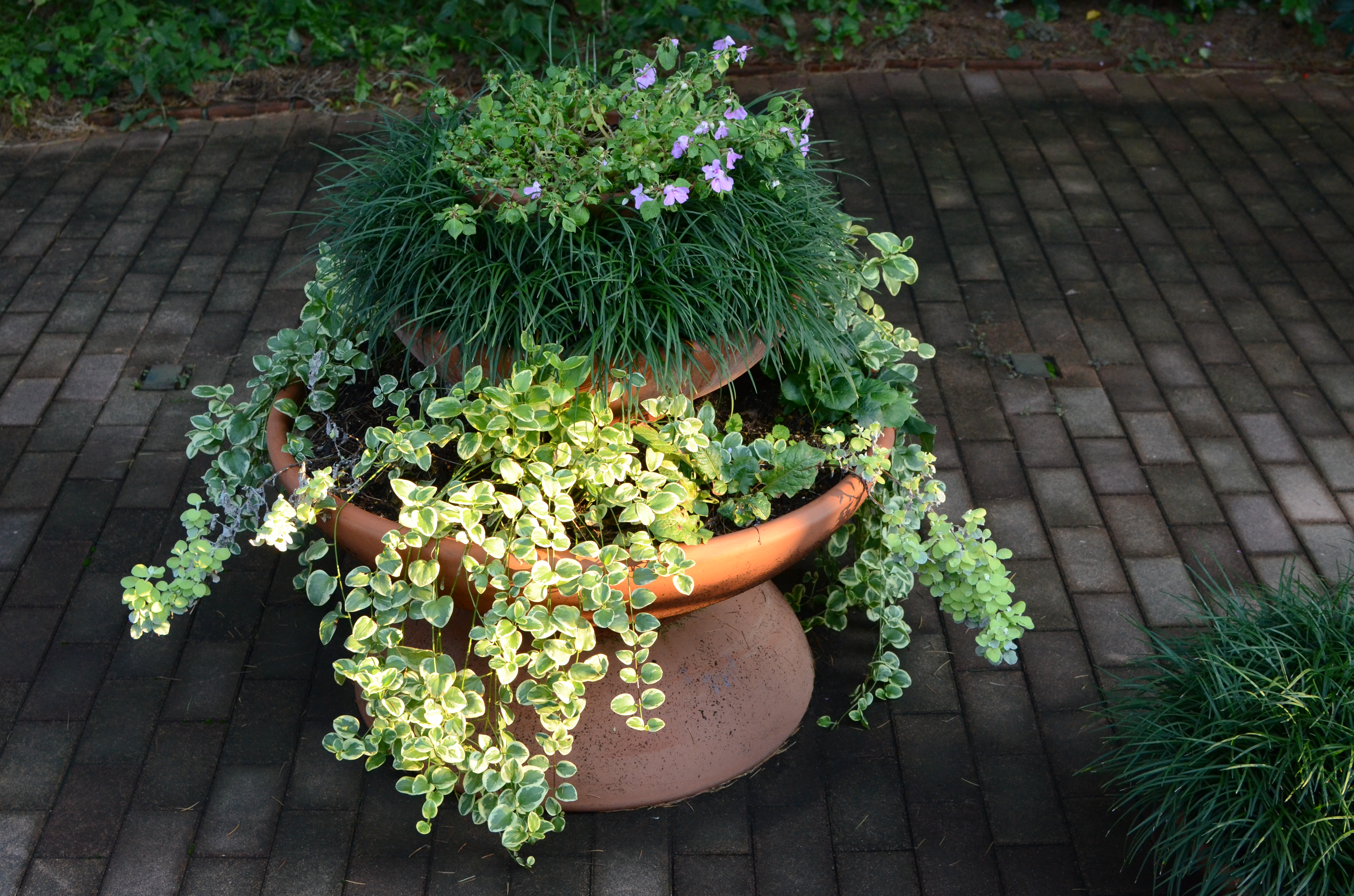 <b>ISO1600（高感度ノイズ低減:強）<br>D7000 / AF-S DX NIKKOR 35mm F1.8 G / 約9.5MB / 4,928×3,264 / 1/200秒 / F5.6 / -0.3EV / ISO1600 / WB:晴天 / 35mm</b>