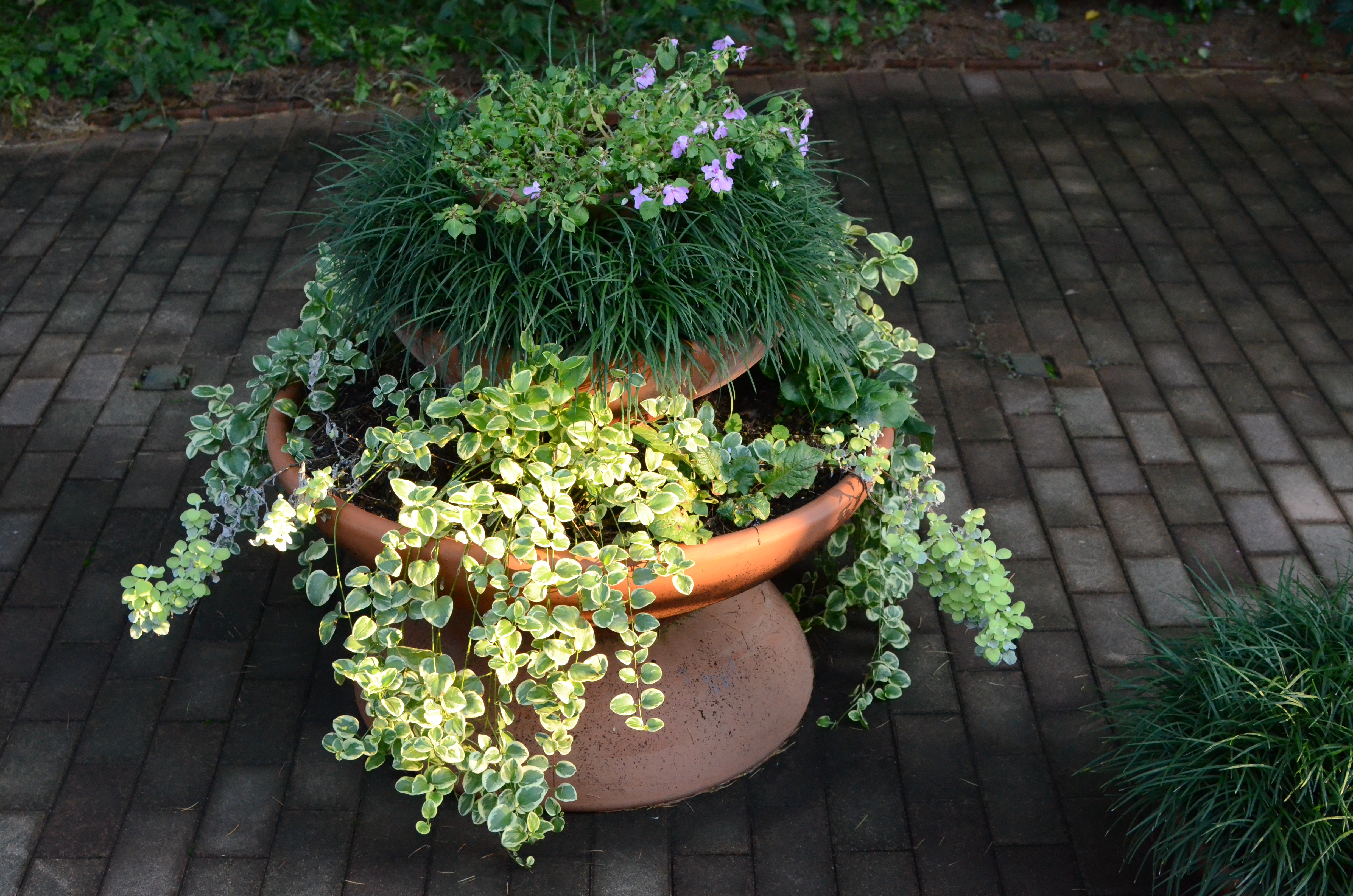 <b>ISO3200（高感度ノイズ低減:強）<br>D7000 / AF-S DX NIKKOR 35mm F1.8 G / 約9.6MB / 4,928×3,264 / 1/400秒 / F5.6 / -0.3EV / ISO3200 / WB:晴天 / 35mm</b>