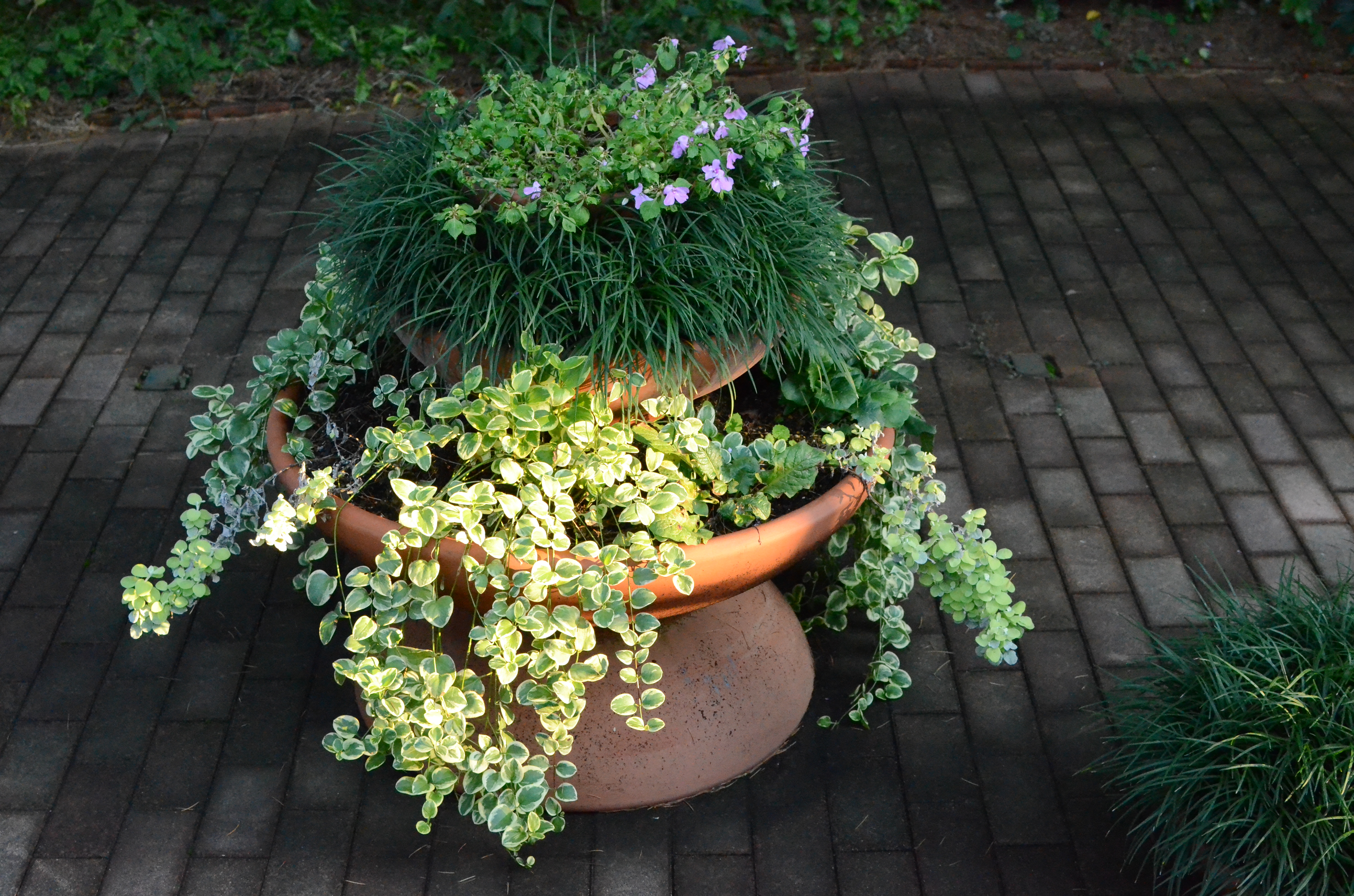 <b>ISO6400（高感度ノイズ低減:強）<br>D7000 / AF-S DX NIKKOR 35mm F1.8 G / 約9.7MB / 4,928×3,264 / 1/800秒 / F5.6 / -0.3EV / ISO6400 / WB:晴天 / 35mm</b>