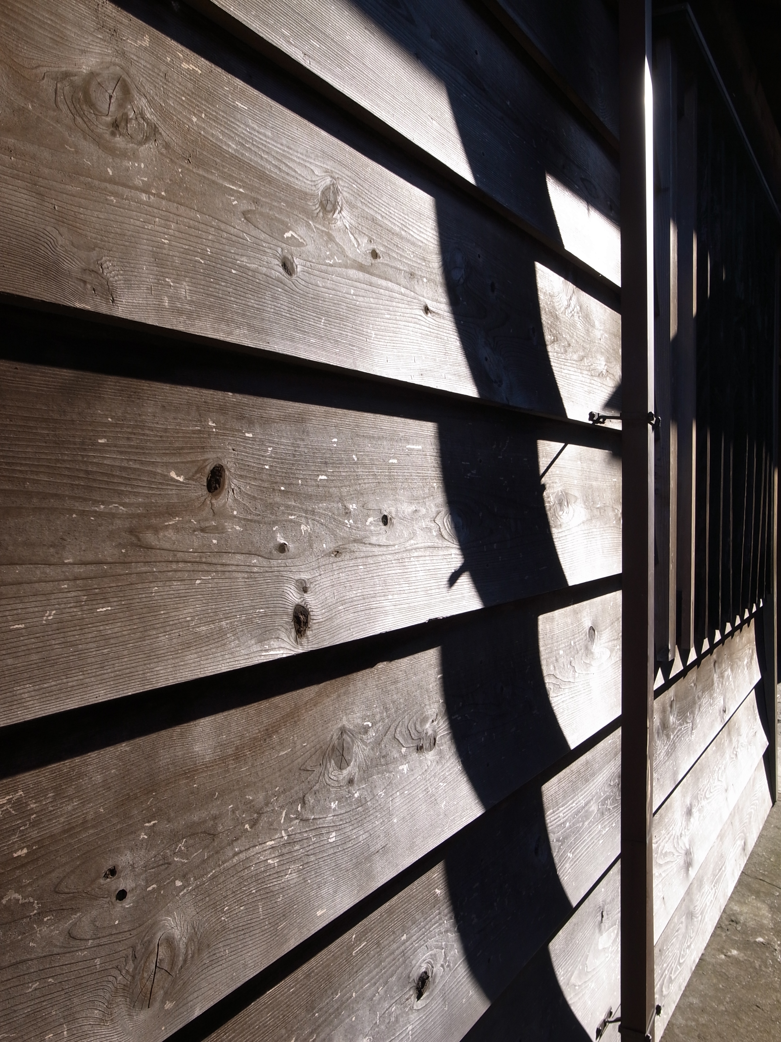 <b>通常撮影<br>GR DIGITAL III / 2,736×3,648 / 1/570秒 / F4 / 0EV / ISO64 / 絞り優先AE / WB:オート / 6mm</b>