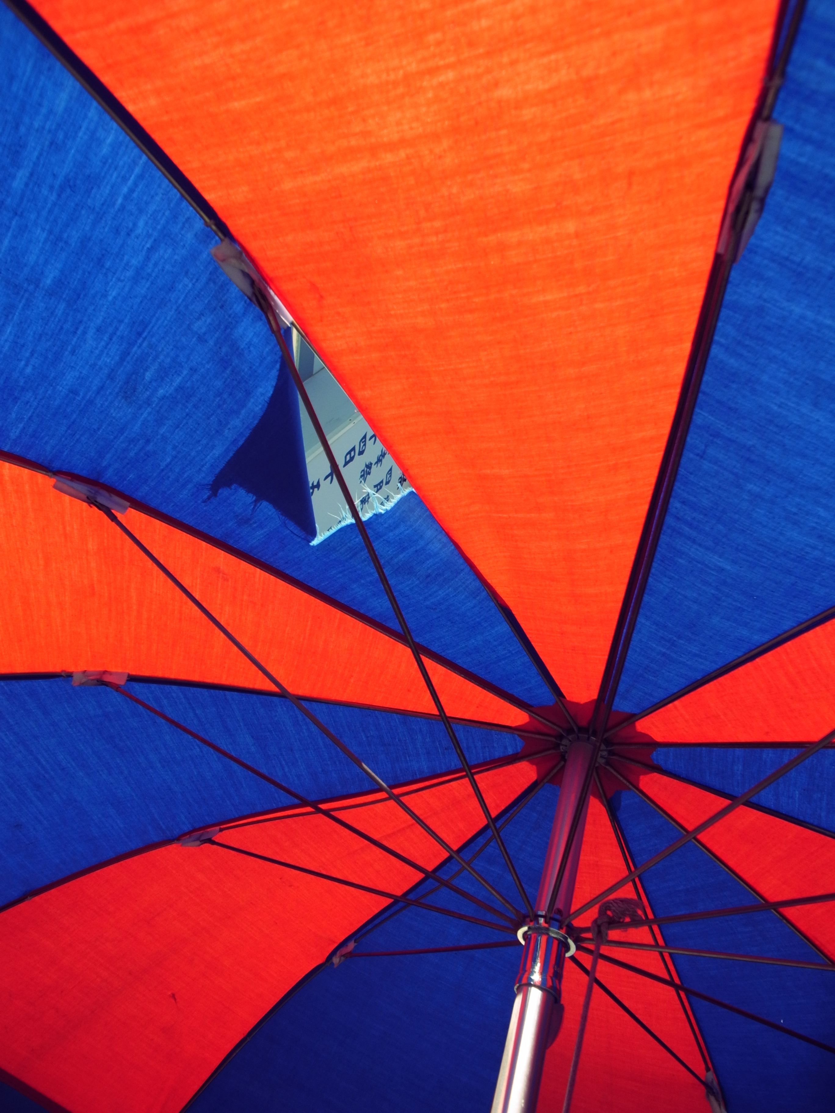 <b>クロスプロセス（色調ベーシック、コントラスト）<br>GR DIGITAL III / 2,736×3,648 / 1/810秒 / F2.5 / +0.3EV / ISO64 / プログラム / WB:オート / 6mm</b>