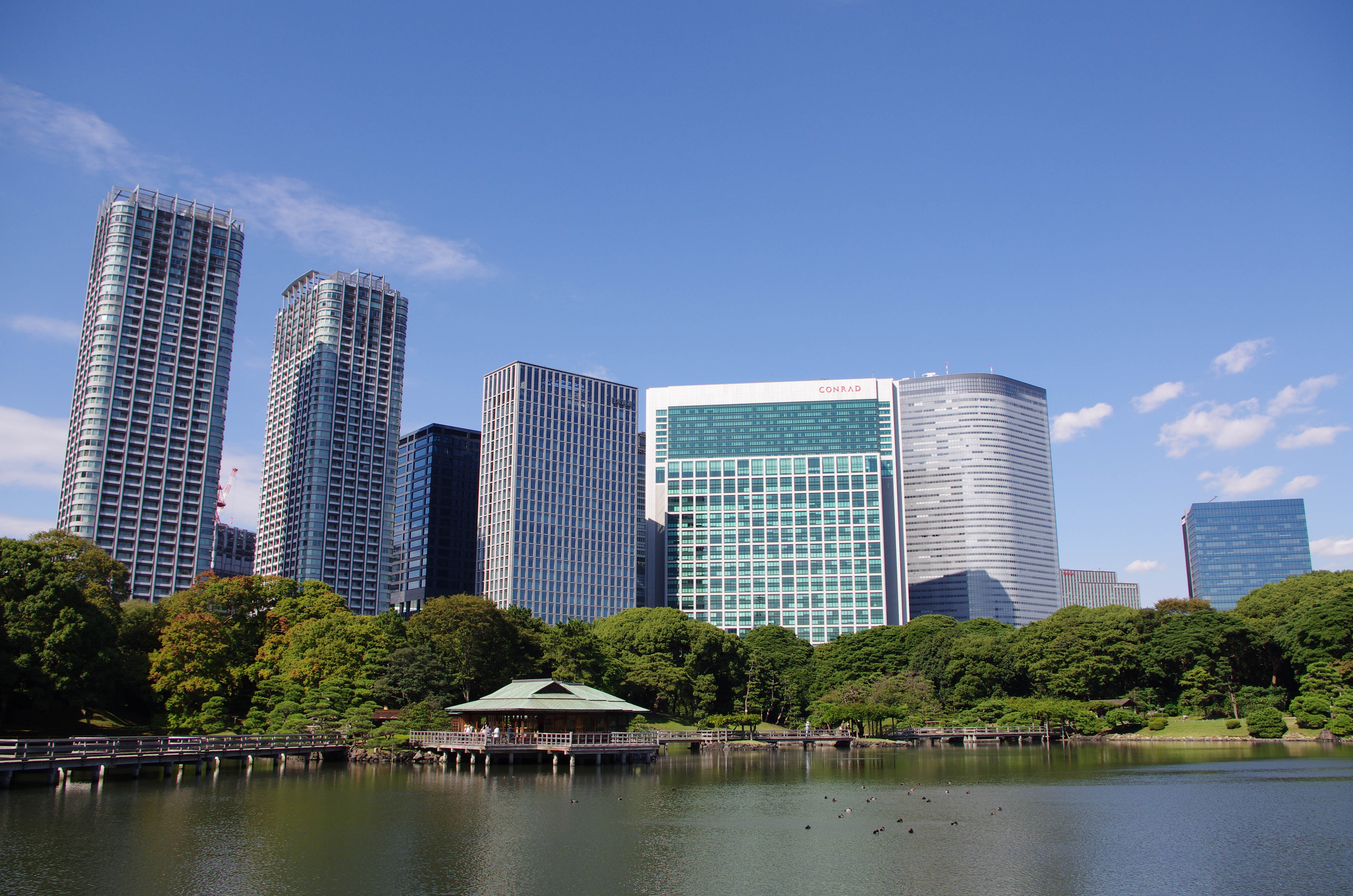 <b>カスタムイメージ：鮮やか</b>