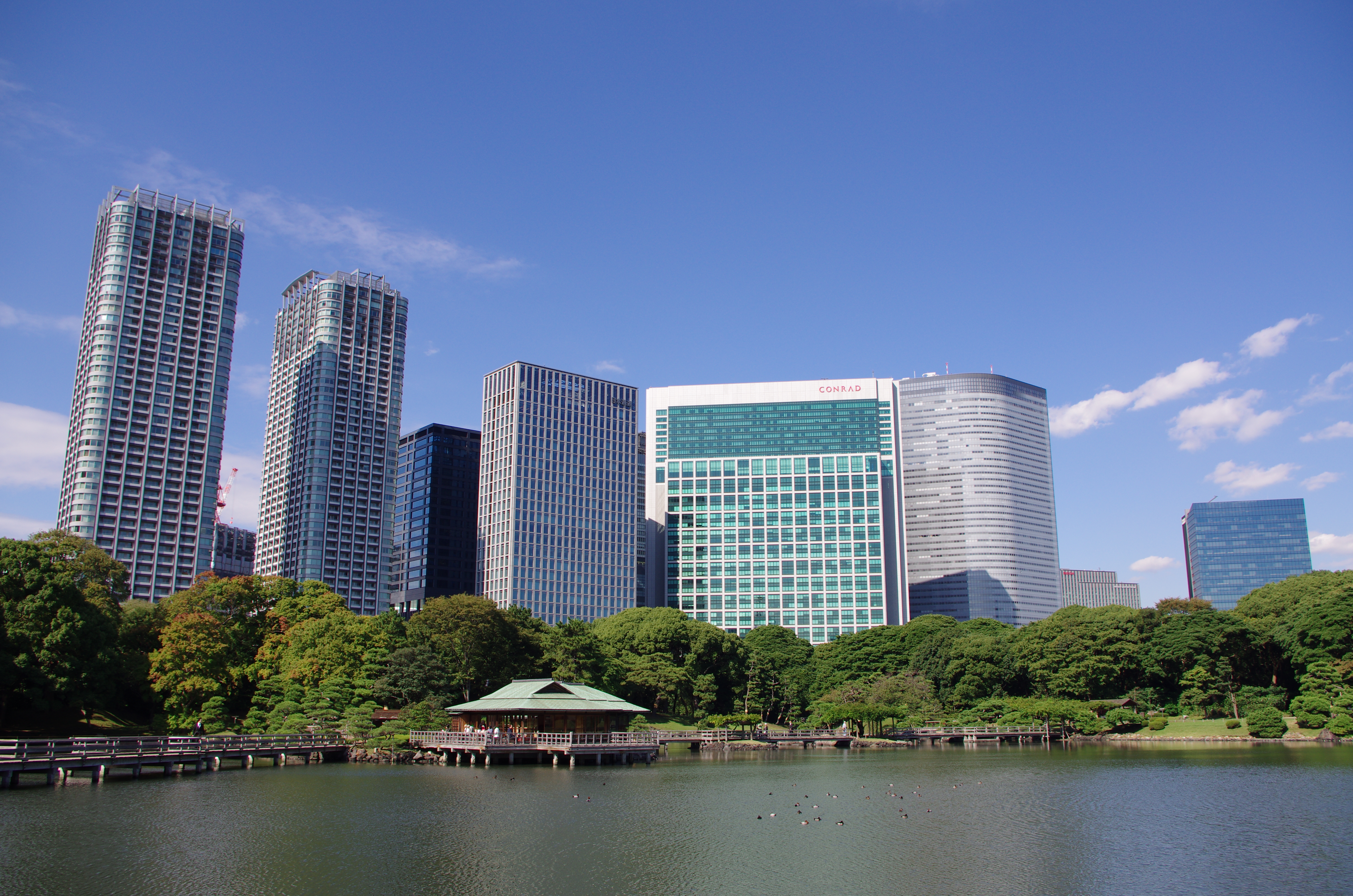 <b>カスタムイメージ：雅</b>