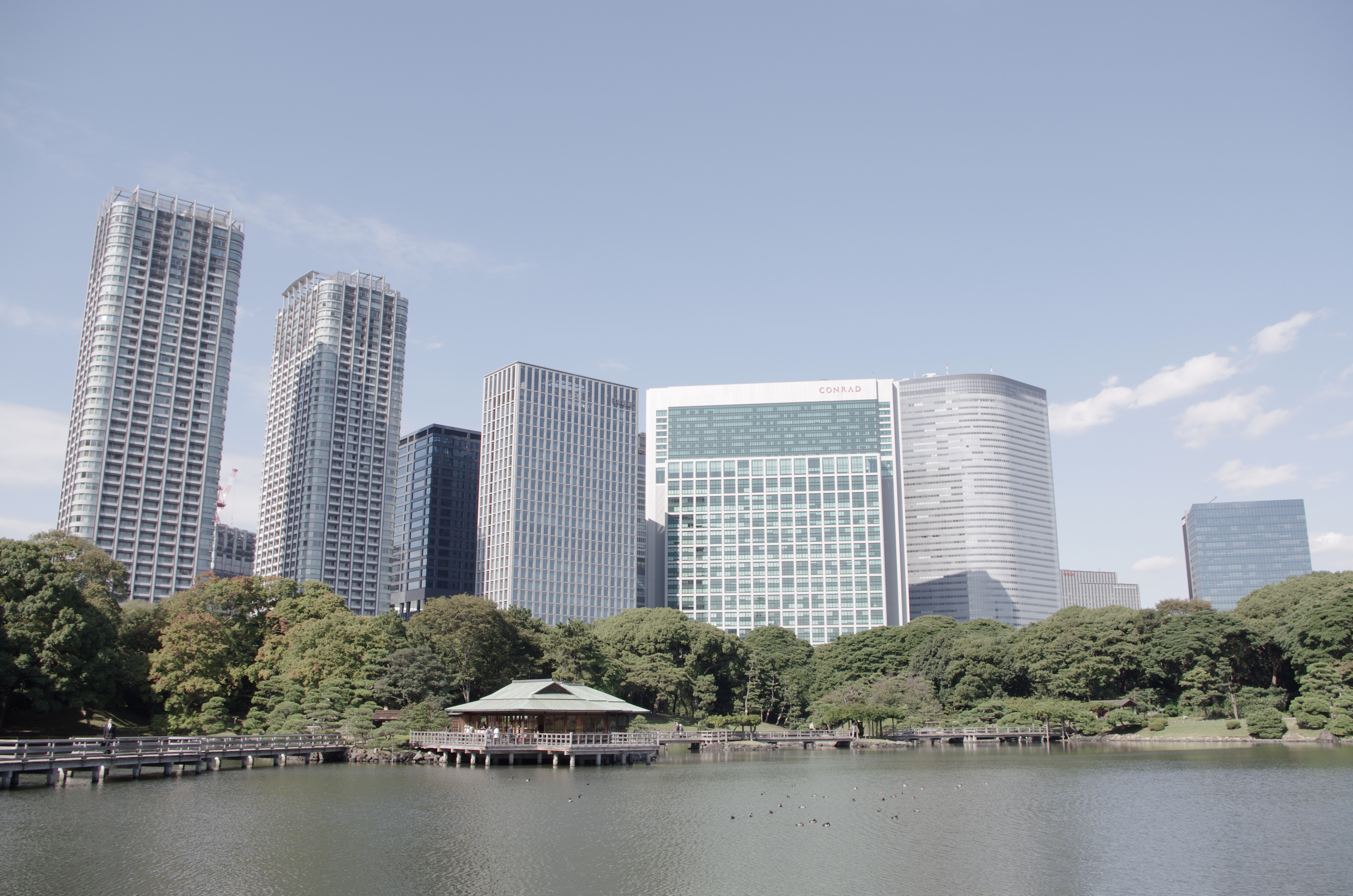 <b>カスタムイメージ：ほのか</b>