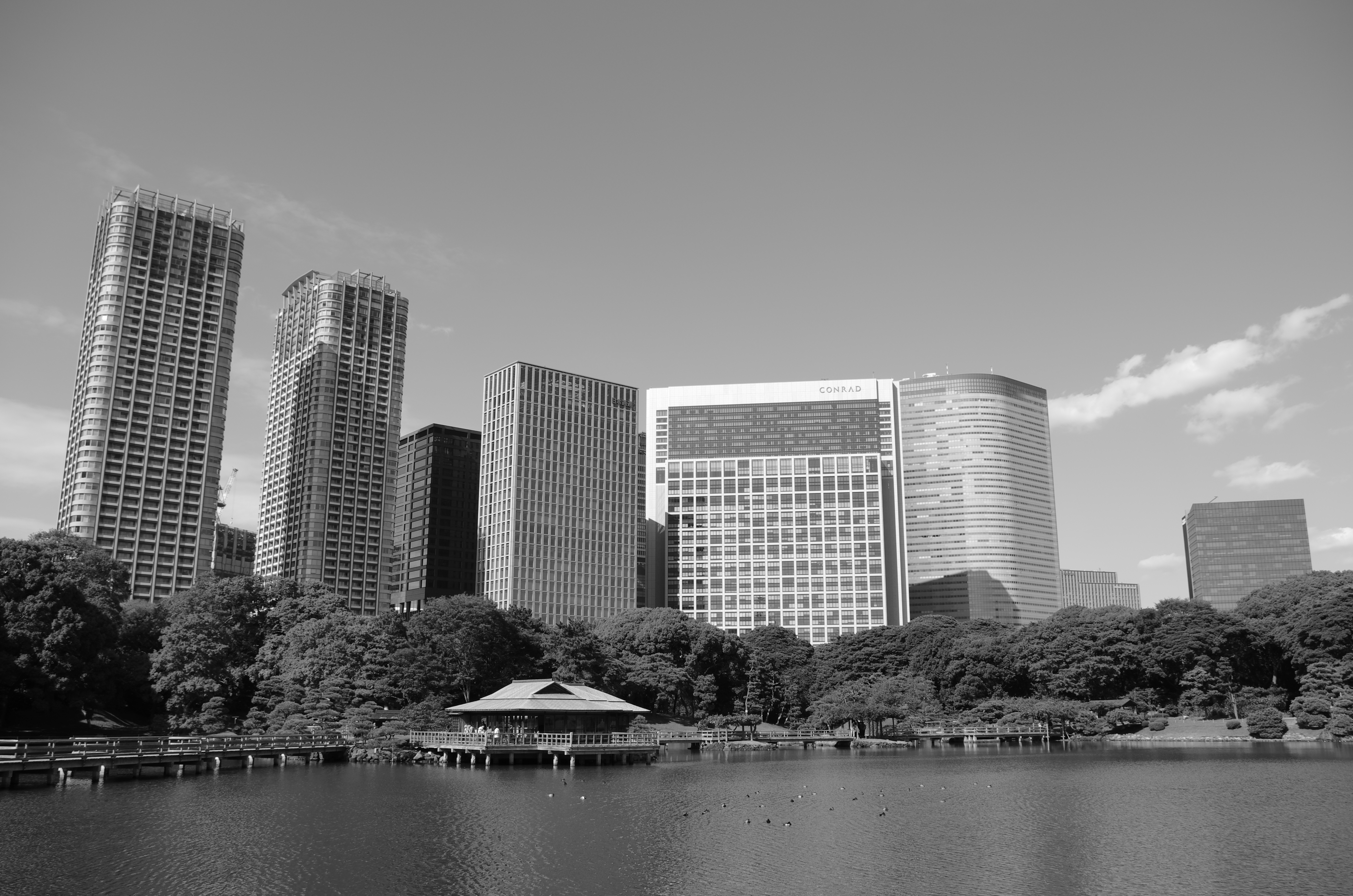 <b>カスタムイメージ：モノトーン</b>