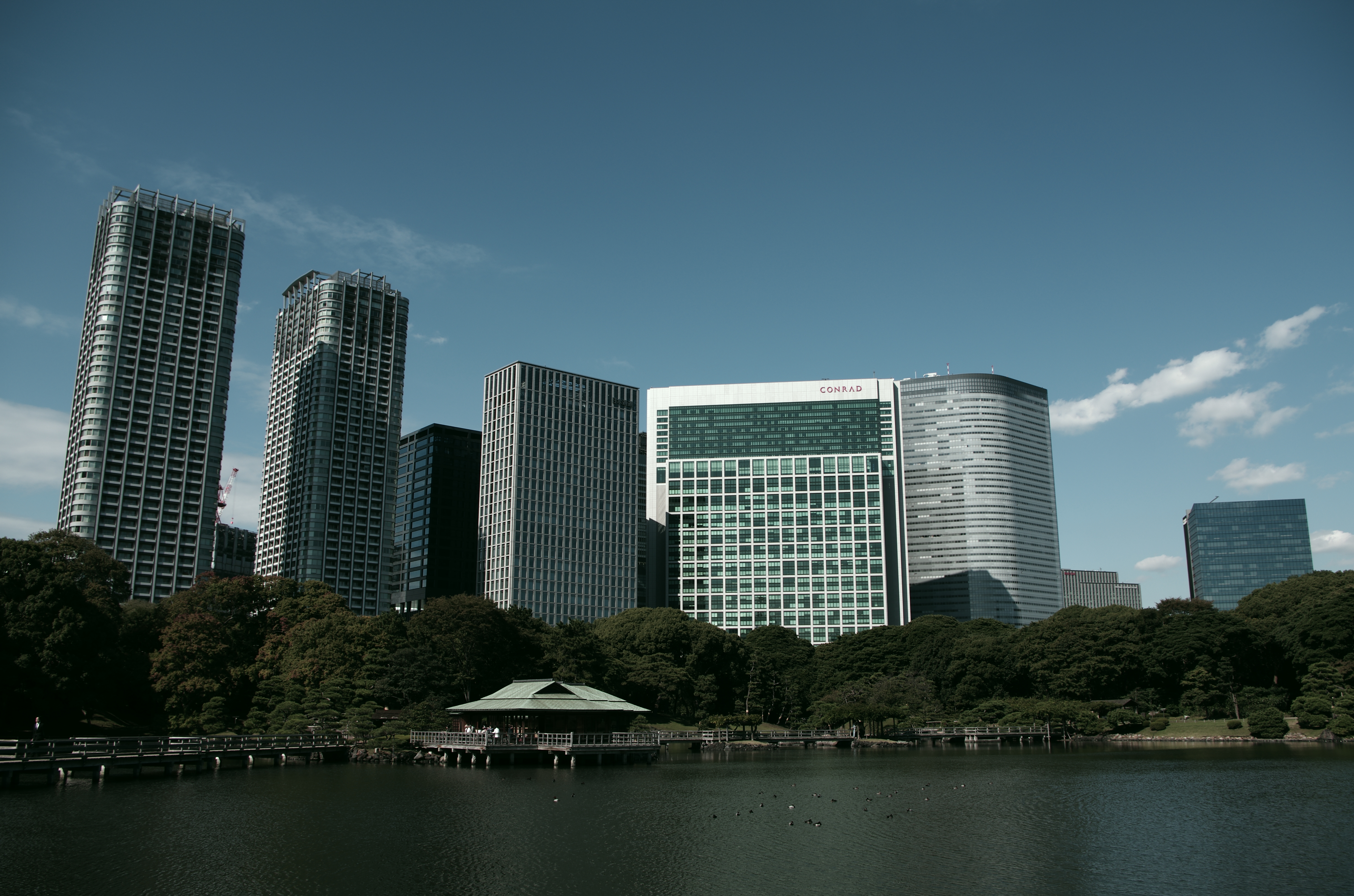 <b>カスタムイメージ：銀残し</b>