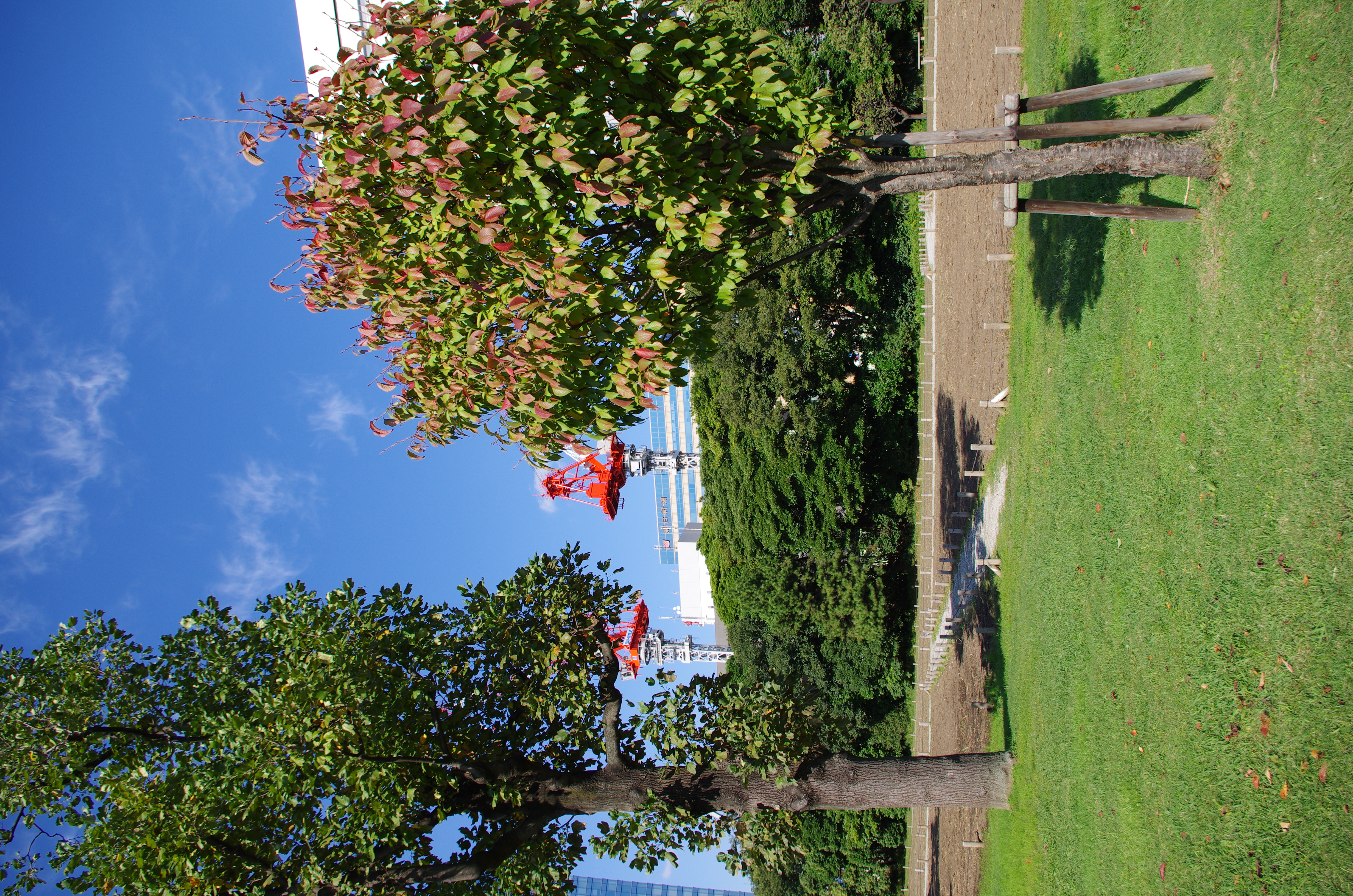 <b>クロスプロセス：OFF</b>