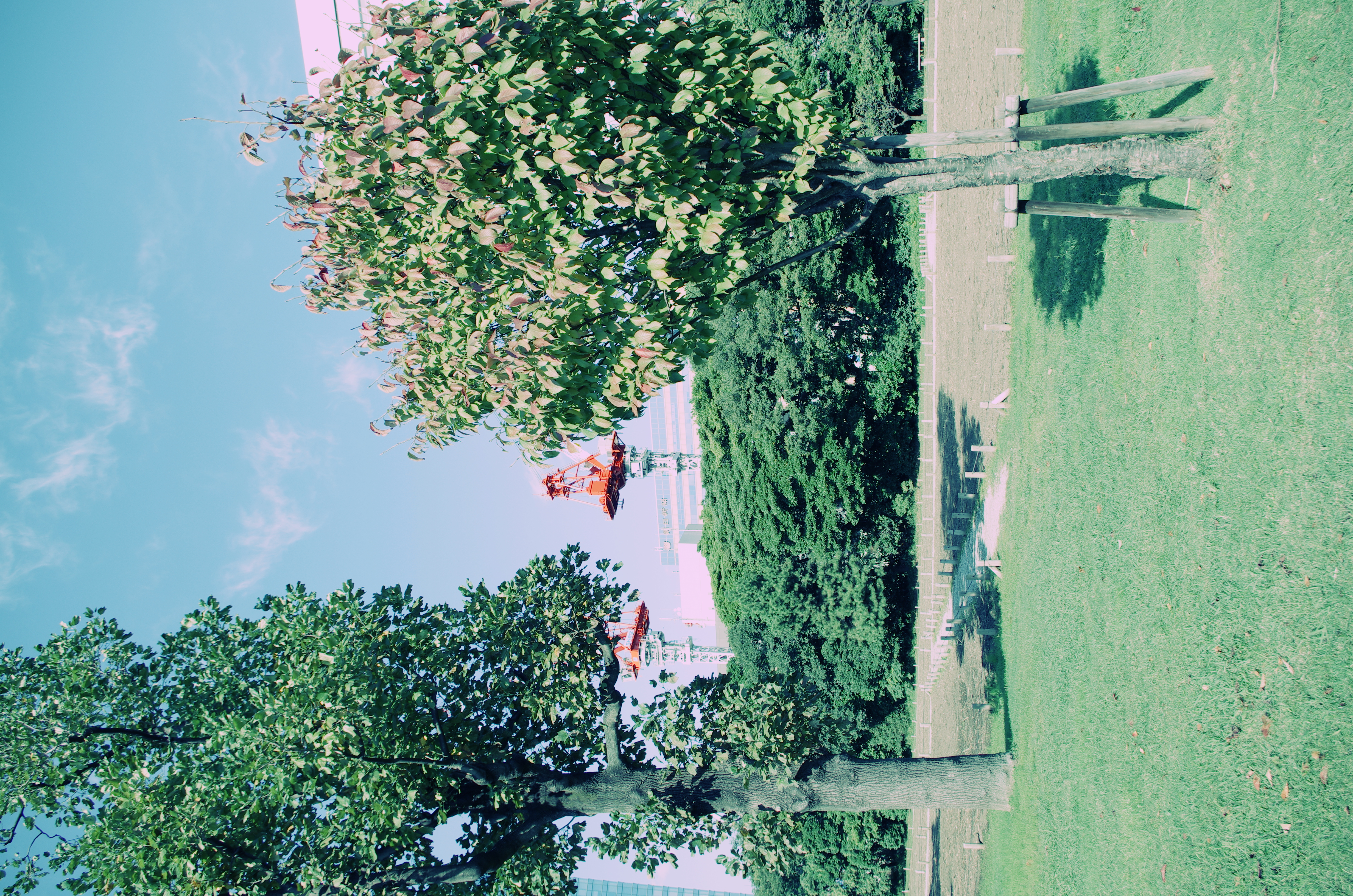 <b>クロスプロセス：プリセット1</b>