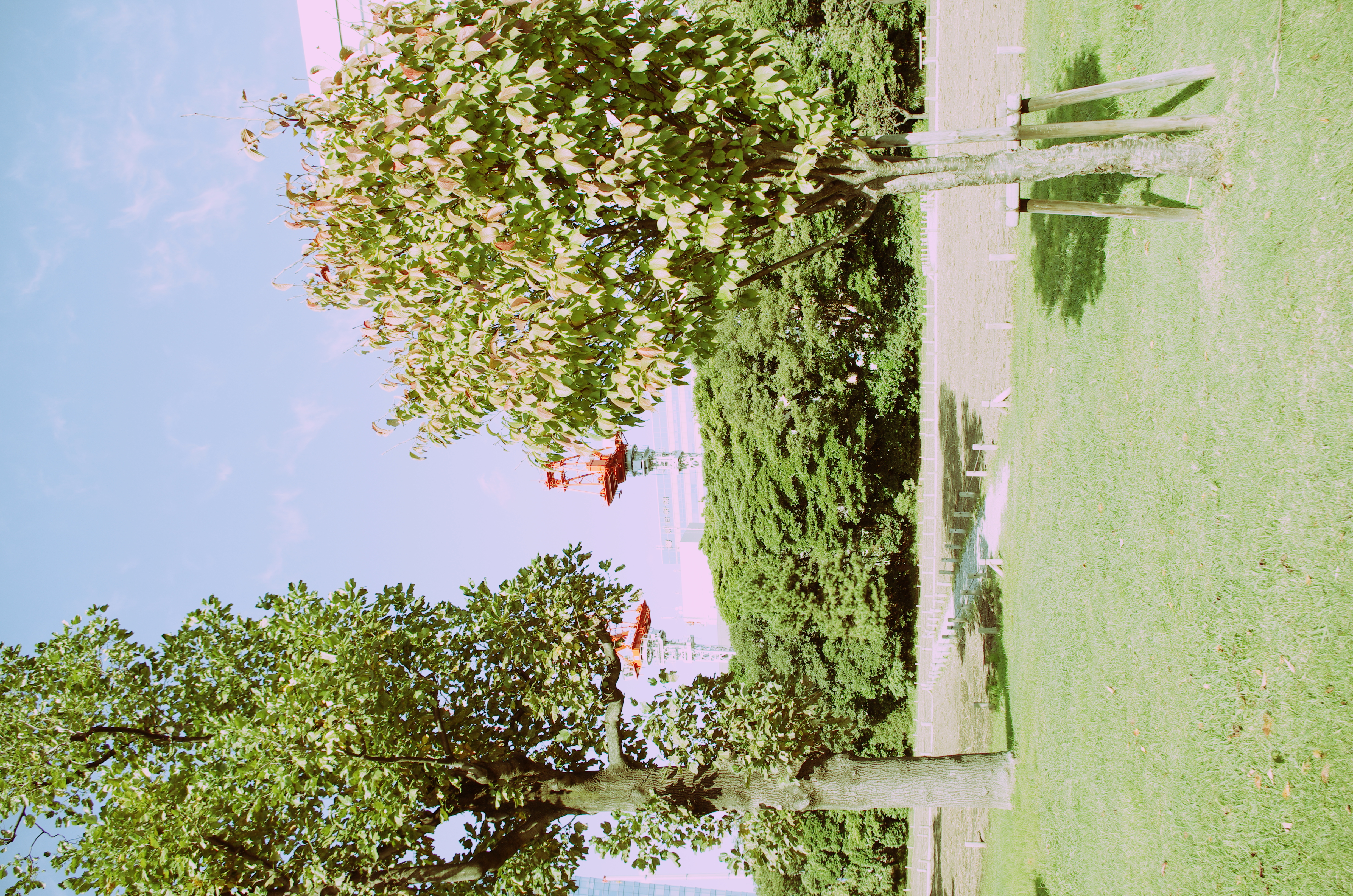 <b>クロスプロセス：プリセット2</b>